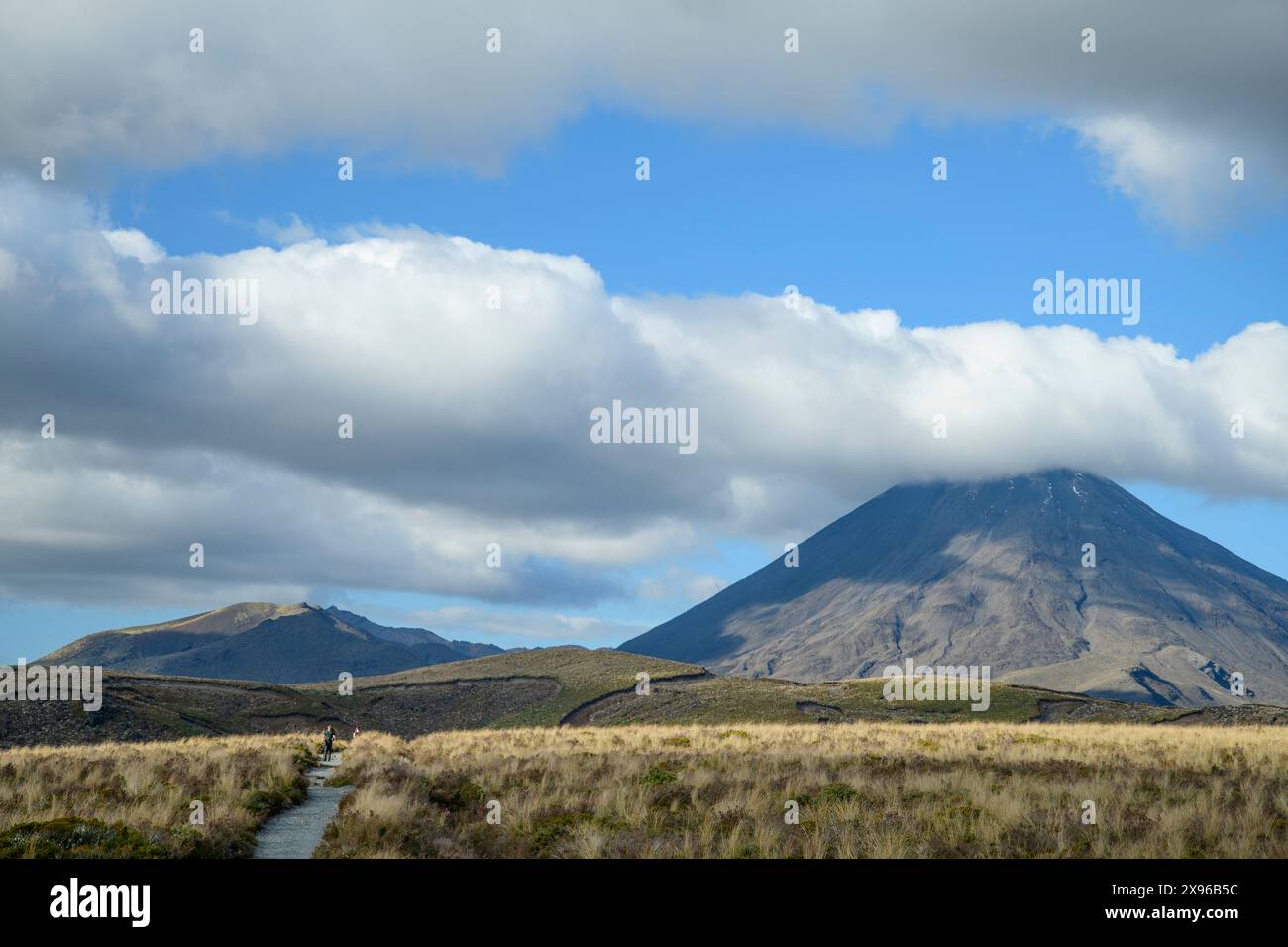 Neuseeland, Nordinsel, Tongariro Nationalpark, Mount Tongariro Stockfoto