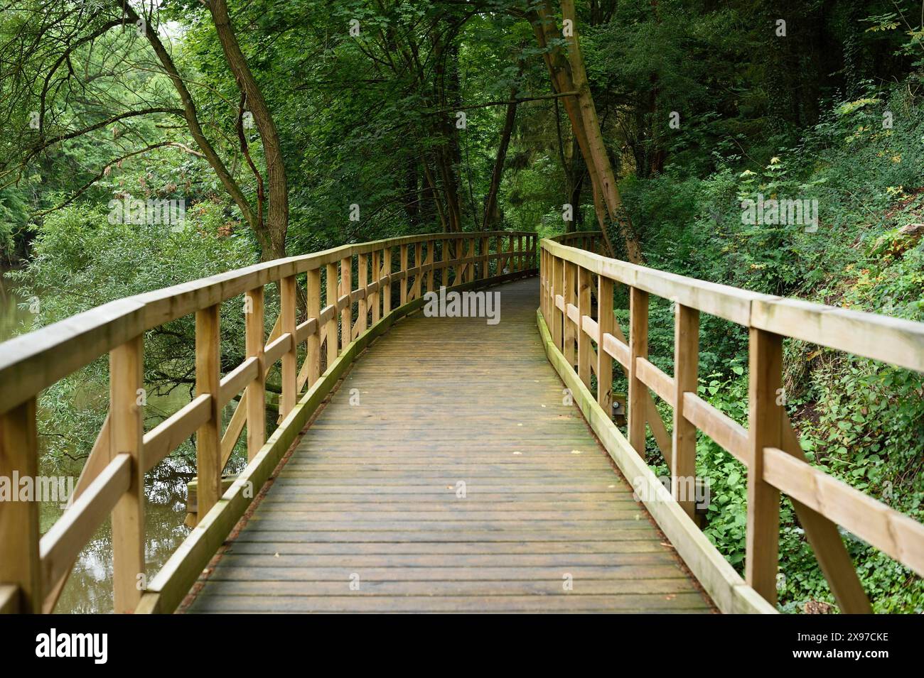 Landschaft einer kleinen Brücke neben der Rednitz in Stein bei Nürnberg im Frühsommer, Bayern, Deutschland Stockfoto