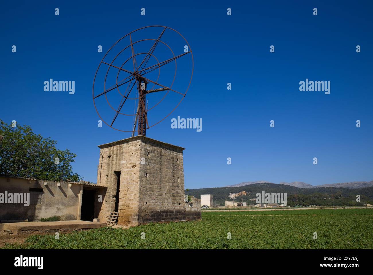 Alte Windmühle auf grüner Wiese mit blauem Himmel und Hügel im Hintergrund, Mallorca. Berühmte Touristenattraktionen auf Mallorca - über 5000 Windmühlen überall Stockfoto