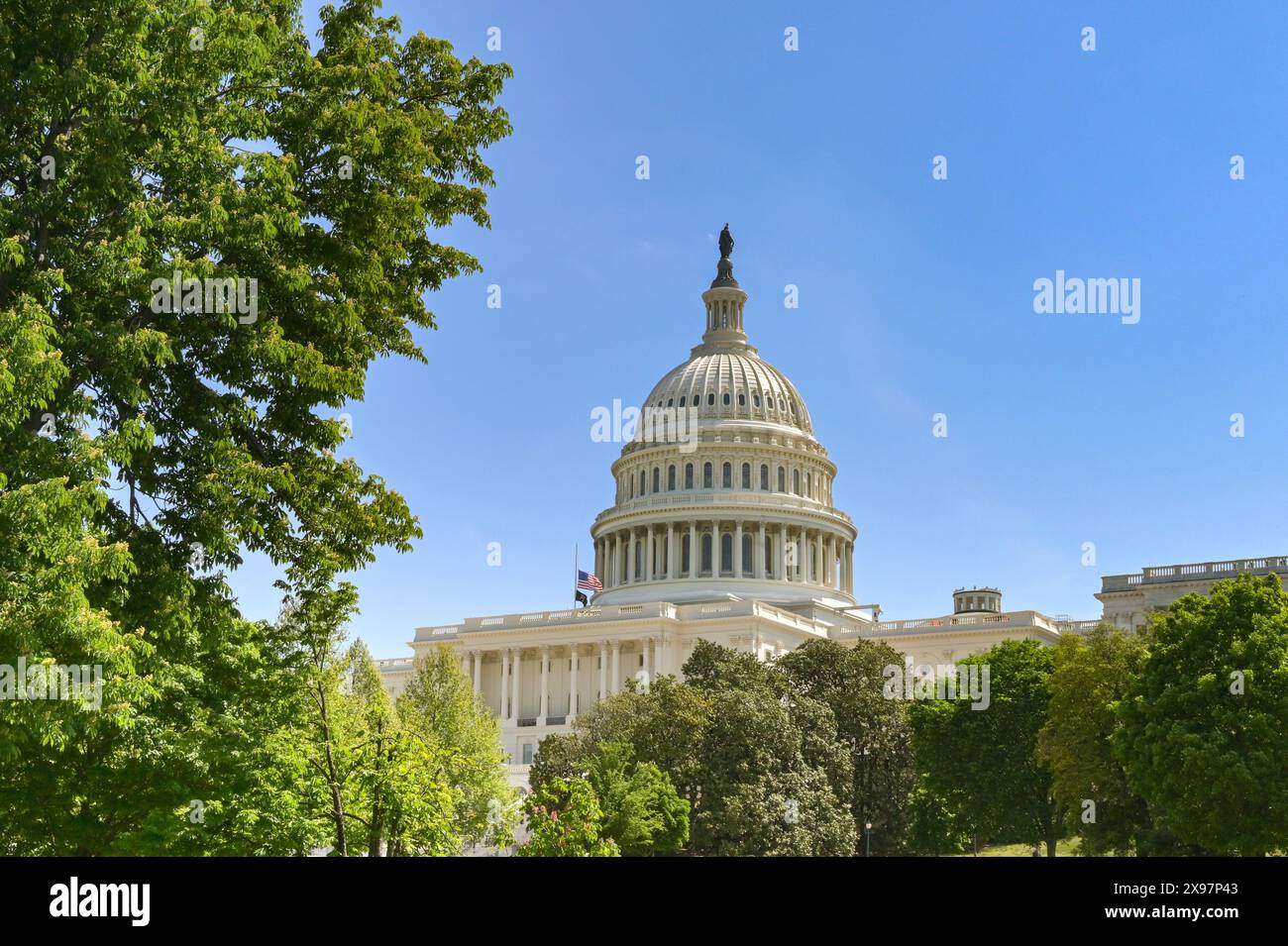Washington DC, USA - 2. Mai 2024: Kuppel des Kapitolgebäudes hinter den Gärten um Capitol Hill Stockfoto