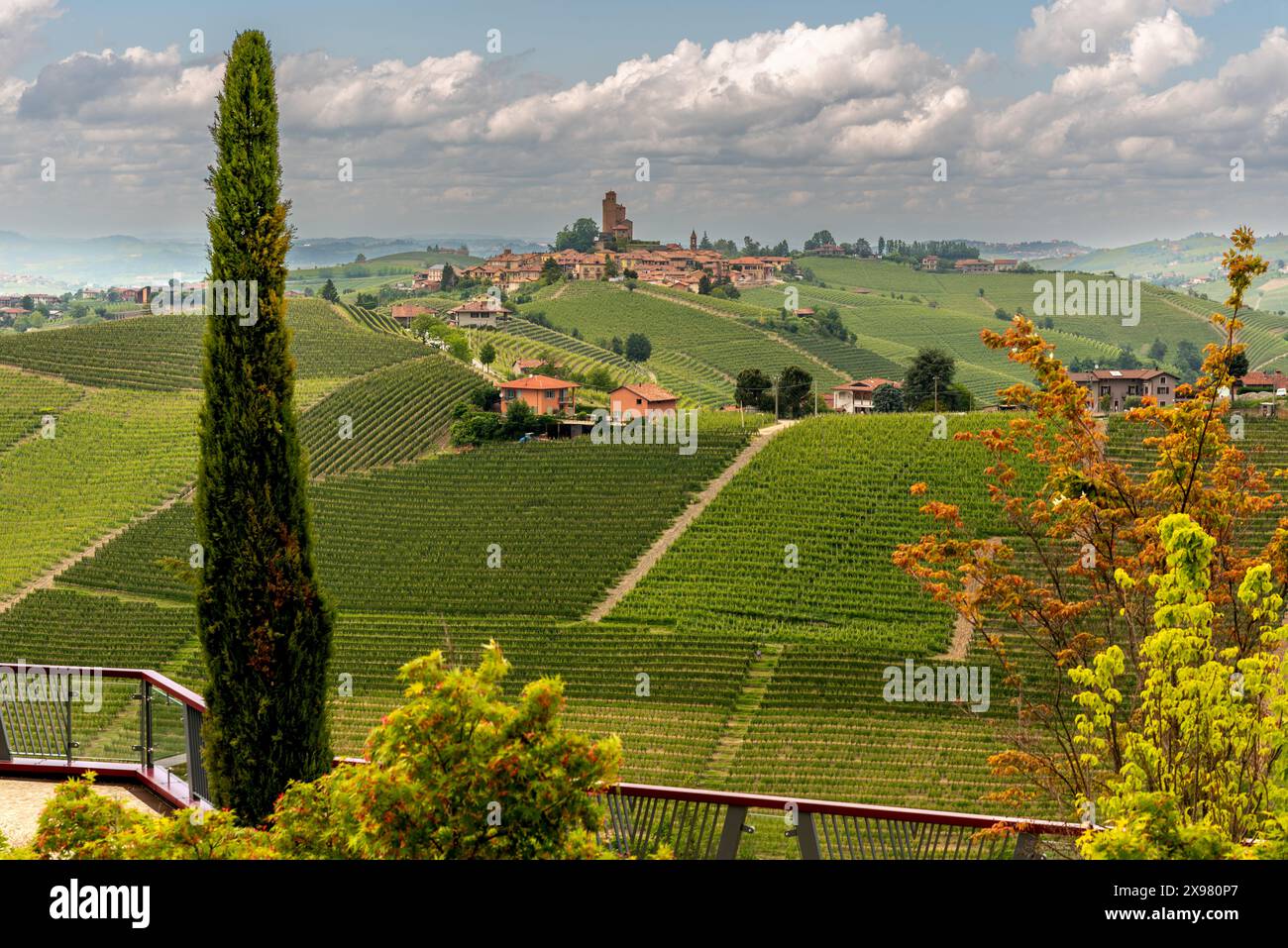 Landschaft von Serralunga di Alba, Italien, zwischen den Weinbergen auf den Hügeln der Langhe, UNESCO-Weltkulturerbe, typisches Weingebiet Barolo Stockfoto