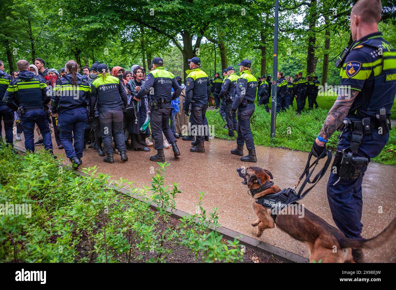 K9-Einheit beschäftigt, aber nicht benutzt, während der heutigen Demonstration "Hände von Rafah" in den Haag. Einige hundert pro-palästinensische Demonstranten standen gegenüber der "Tweede Karmer" oder, der "Zweiten Kammer", dem niederländischen Regierungssitz in den Haag, während todayís "Hände weg von Rafah - wo ist Ihre rote Linie Rutte?". Die Demonstranten standen in strömendem Regen, einige mit Megaphonen, und forderten die niederländische Regierung auf, ihre Haltung in ihrer Unterstützung für Israel zu ändern. Die Demonstration war eine Reaktion auf Rafah am Sonntag, bei der 45 Menschen getötet wurden, laut dem Humas-geführten gesundheitsministerium, und Dutzende andere waren c Stockfoto