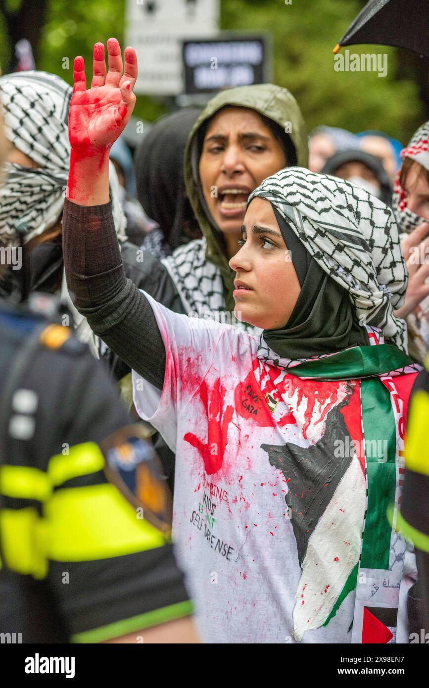 Pro-palästinensische Unterstützerin in Nationalfarben und blutbeflecktem T-Shirt während der heutigen Demonstration "Hände Rafahs" in den Haag. Einige hundert pro-palästinensische Demonstranten standen gegenüber der "Tweede Karmer" oder, der "Zweiten Kammer", dem niederländischen Regierungssitz in den Haag, während todayís "Hände weg von Rafah - wo ist Ihre rote Linie Rutte?". Die Demonstranten standen in strömendem Regen, einige mit Megaphonen, und forderten die niederländische Regierung auf, ihre Haltung in ihrer Unterstützung für Israel zu ändern. Die Demonstration war eine Reaktion auf Rafah am Sonntag, bei der 45 Menschen getötet wurden, laut der Stockfoto