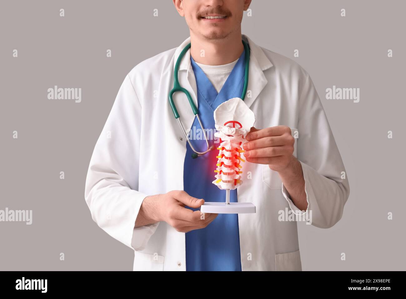 Männlicher Arzt mit Wirbelsäulenmodell auf grauem Hintergrund Stockfoto