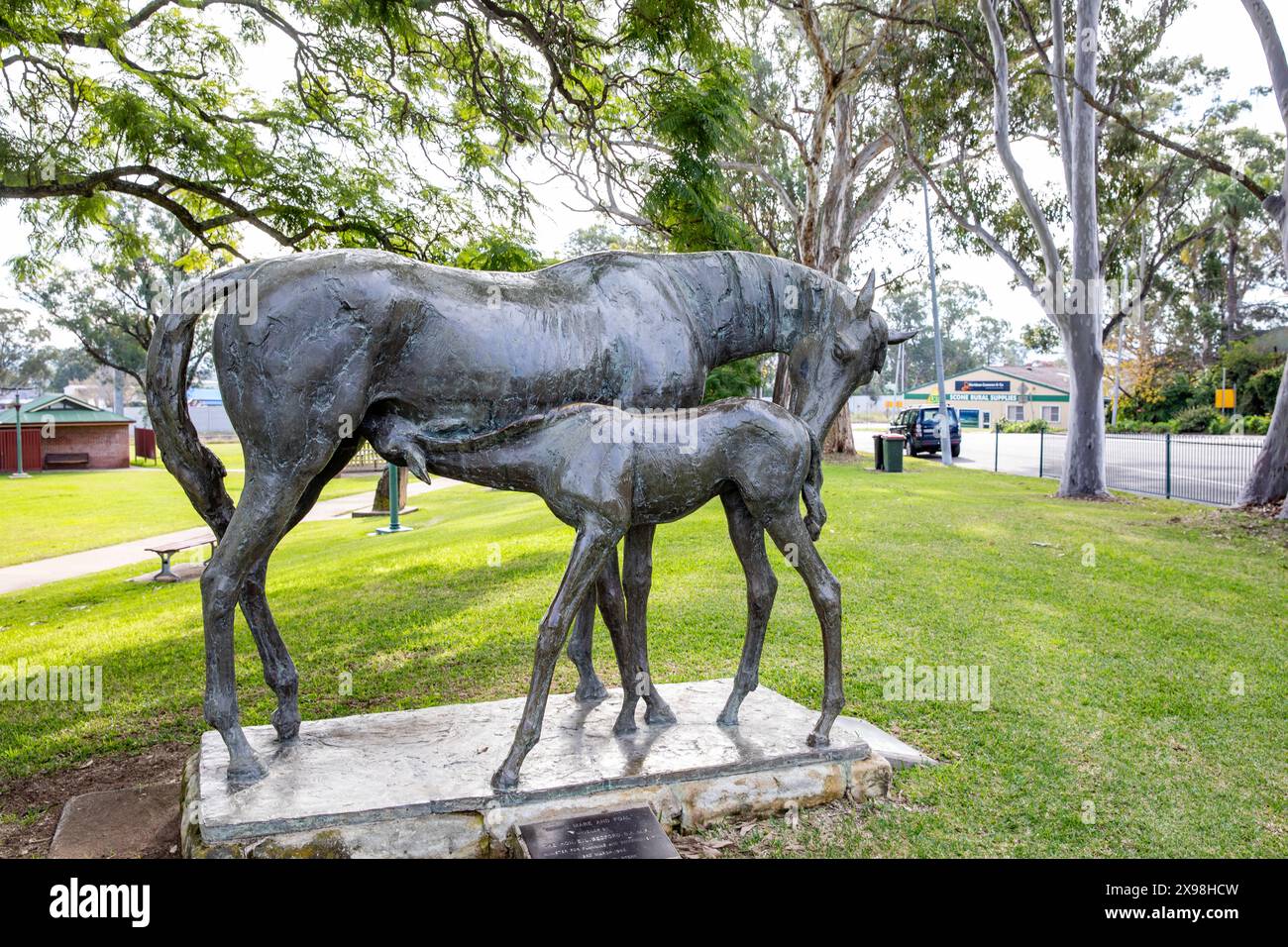 Scone ist eine Stadt in der Hunter-Region in New South Wales, der Pferdehauptstadt Australiens, die Bronzeskulptur Mare & Fohlen von Gabriel Sterk, Australien Stockfoto