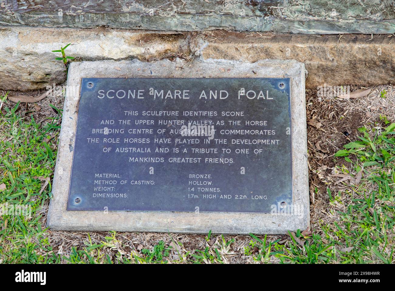 Scone, australische Landstadt in der Hunter Region mit Gedenktafel für die Mare and Fohlen Statue im Stadtzentrum, NSW, Australien Stockfoto