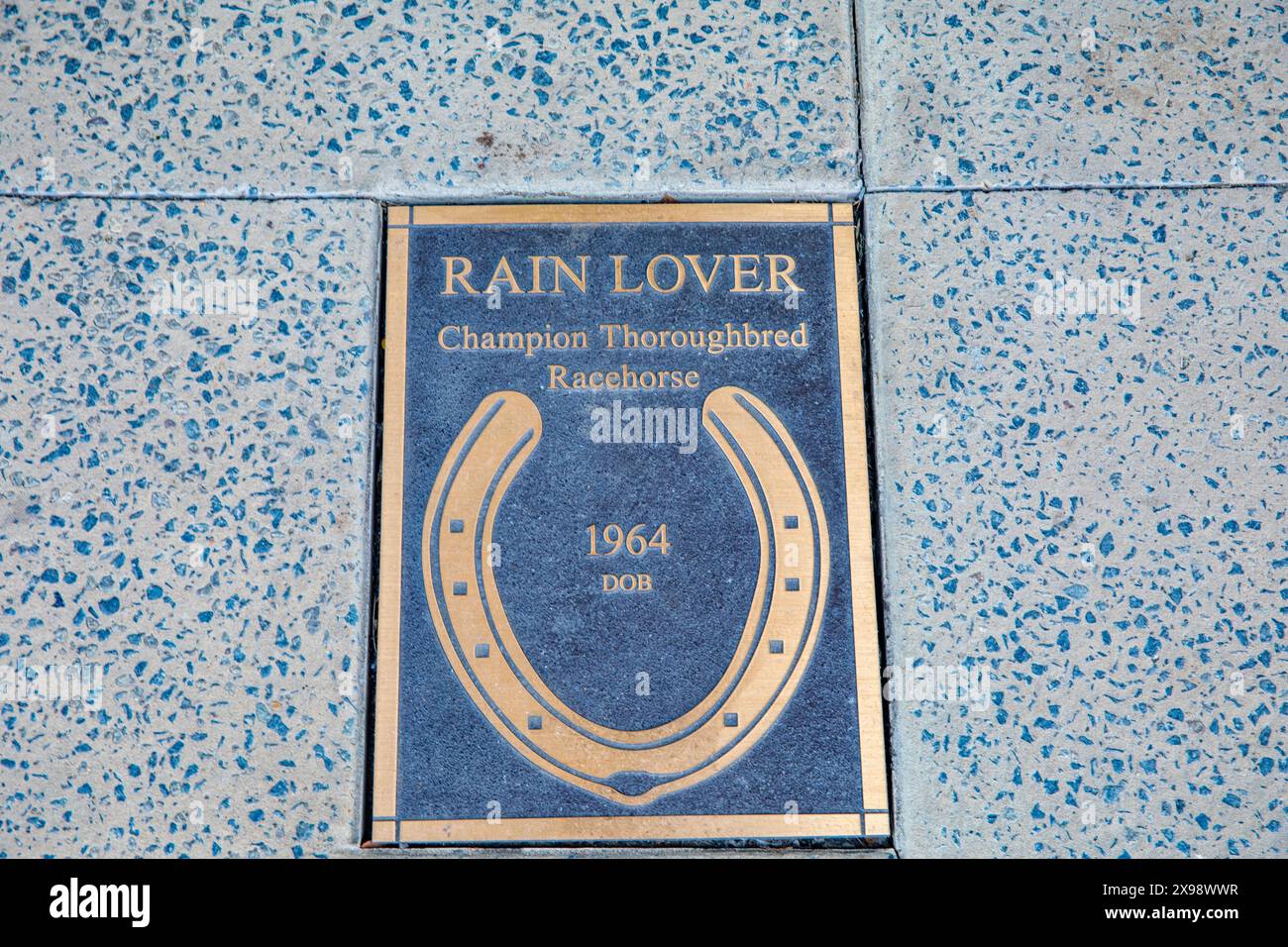 Scone Town in New South Wales ist die australische Hauptstadt des Pferderennsports, auf der Straßenbelag für den Champion Vollblut-Rennpferd-Rain-Liebhaber steht Stockfoto