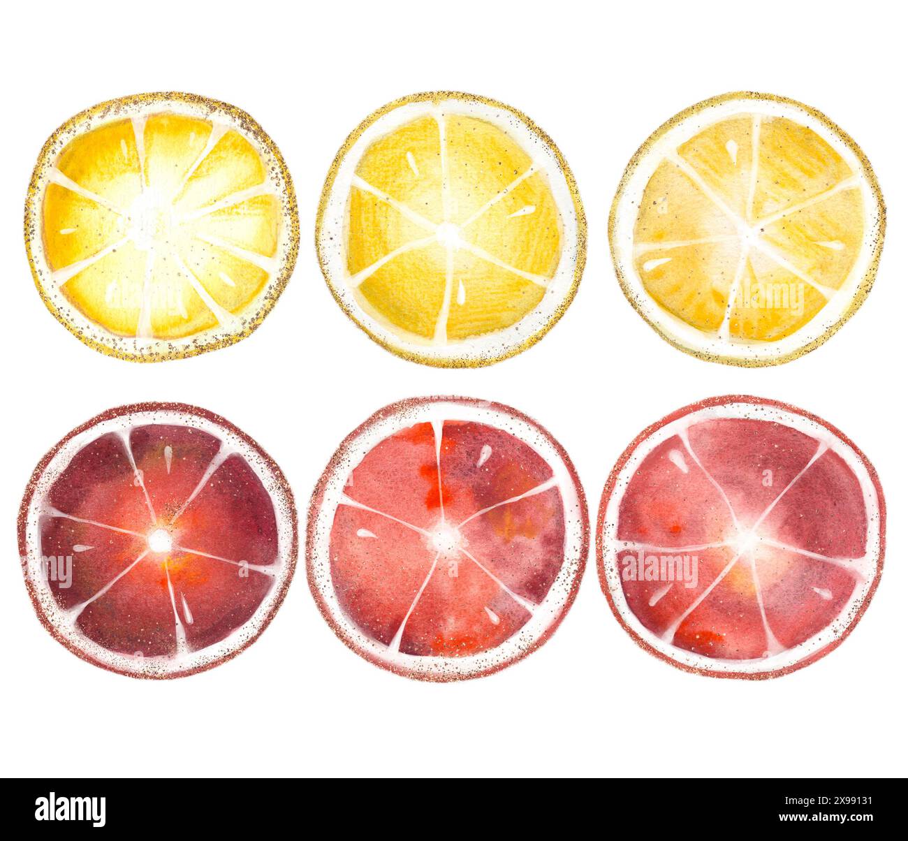 Lebendige Aquarellillustrationen von Zitronen und Grapefruits mit künstlerischem Flair in modernem und trendigem Stil Stockfoto