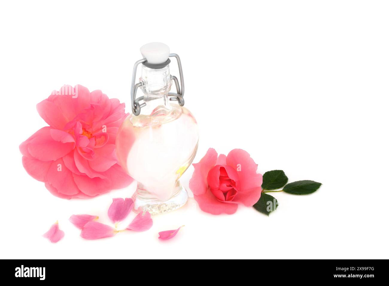 Rosenwasser zur Hautpflege mit rosa Rosenblüten auf weiß mit herzförmiger Flasche. Natürliches Produkt, um die Haut mit Feuchtigkeit zu versorgen, Hautrötungen, Irritationen zu behandeln. Stockfoto