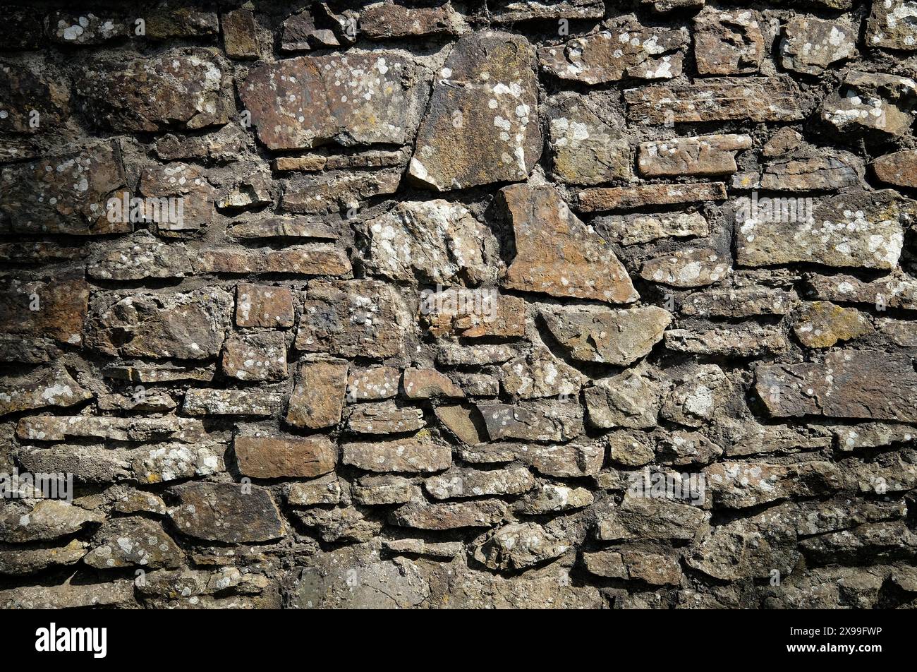Hintergrund der Steinmauer von devon Stockfoto