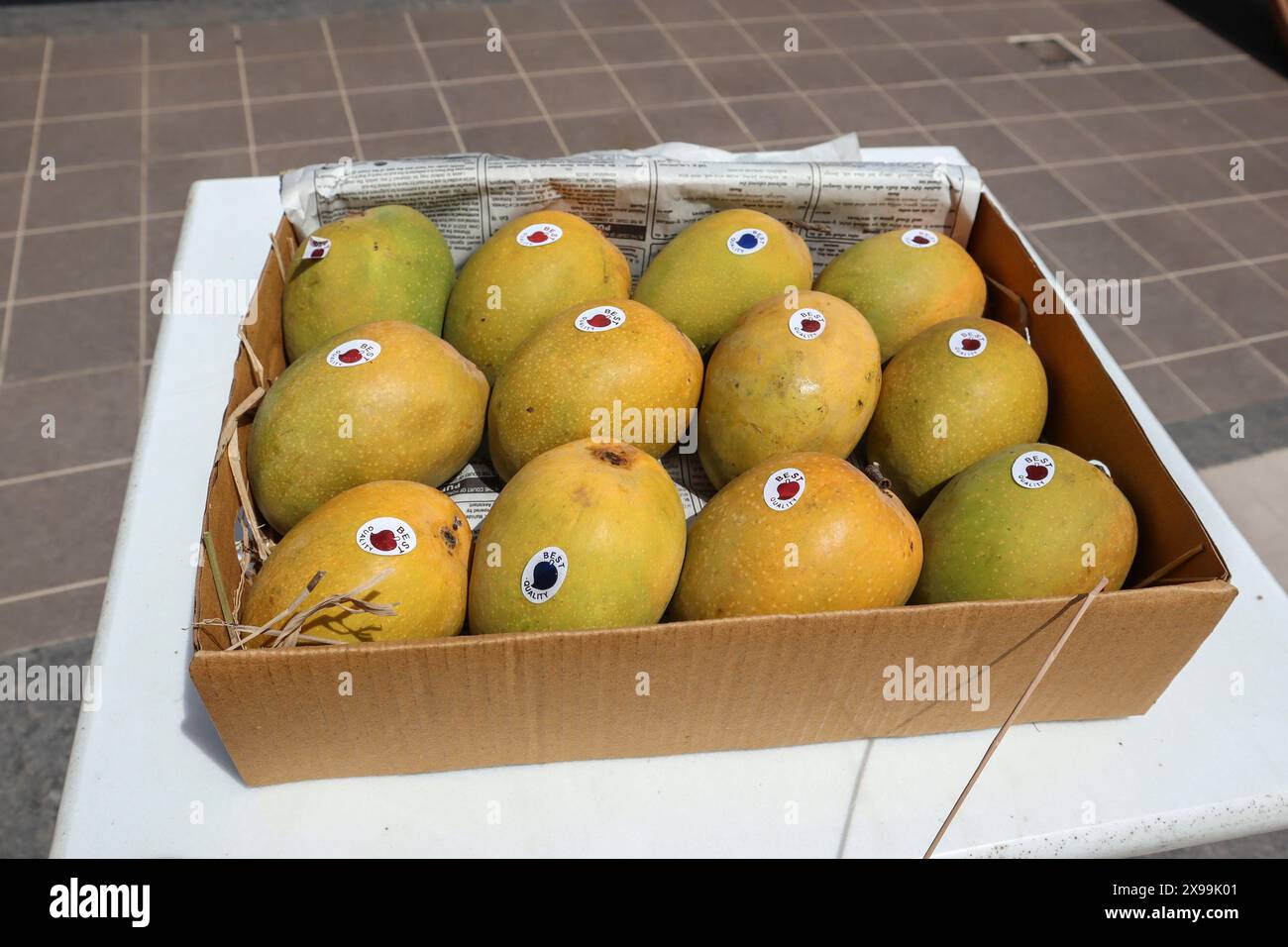 Eine Schachtel Mangos von Alphanso Ratnagiri, die man kaufen und verkaufen kann Stockfoto