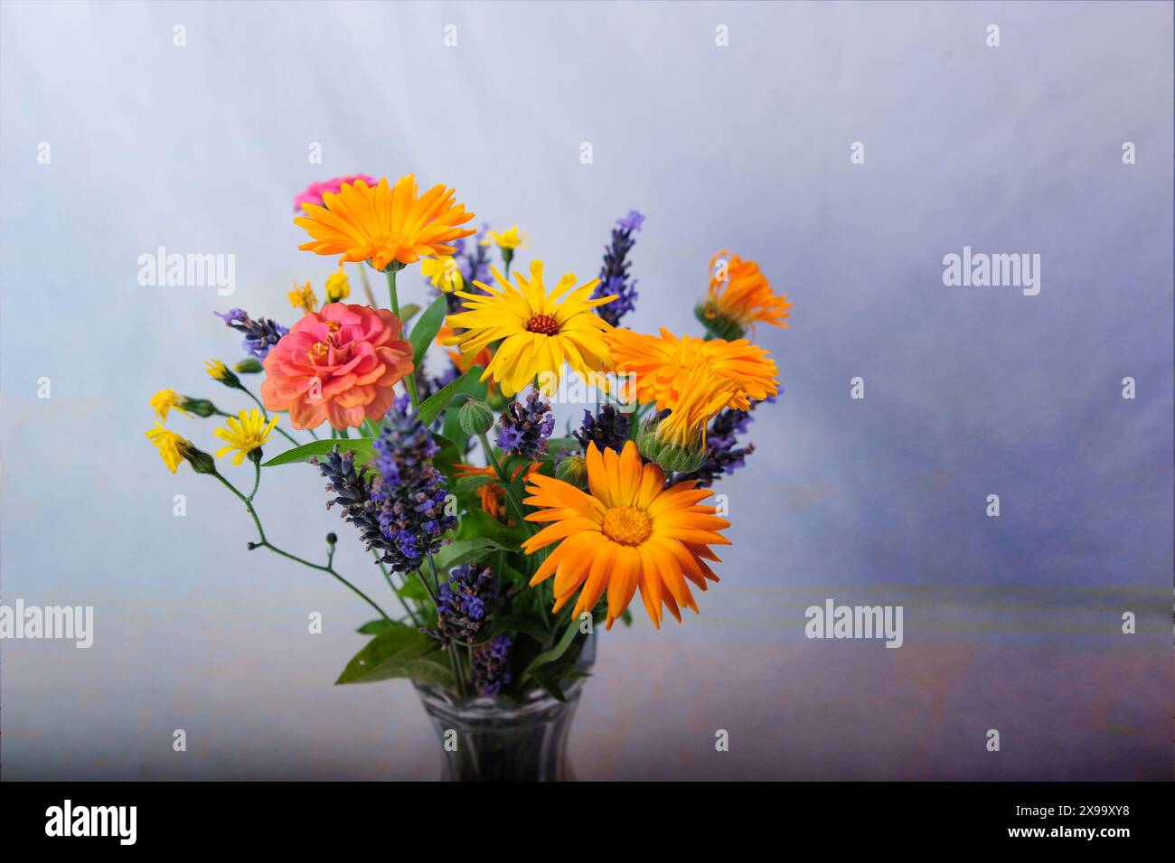 Mehrere bunte Blumen in einer leicht sichtbaren Vase. Horizontales Foto mit digitaler Texturebene und Kopierbereich. Stockfoto