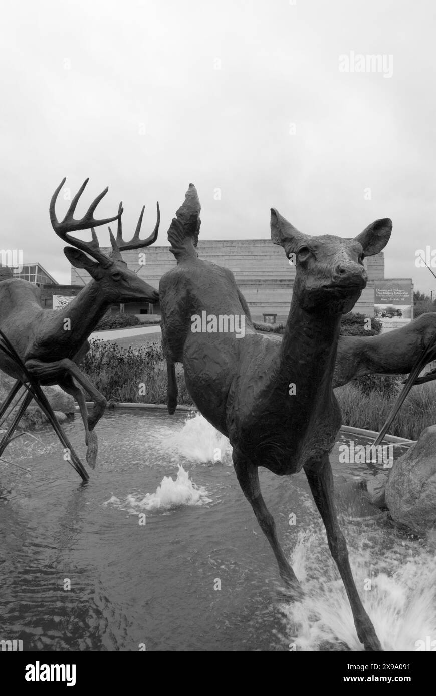 Stockfoto der Hirschskulptur Eiteljorg Museum of American Indians and Western Art in Indianapolis. USA Stockfoto