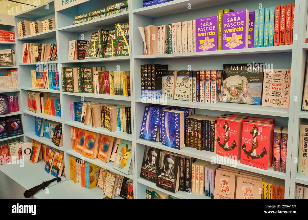 Bücher zum Verkauf im Festival Bookshop in Hay-on-Wye, Powys, Wales Stockfoto