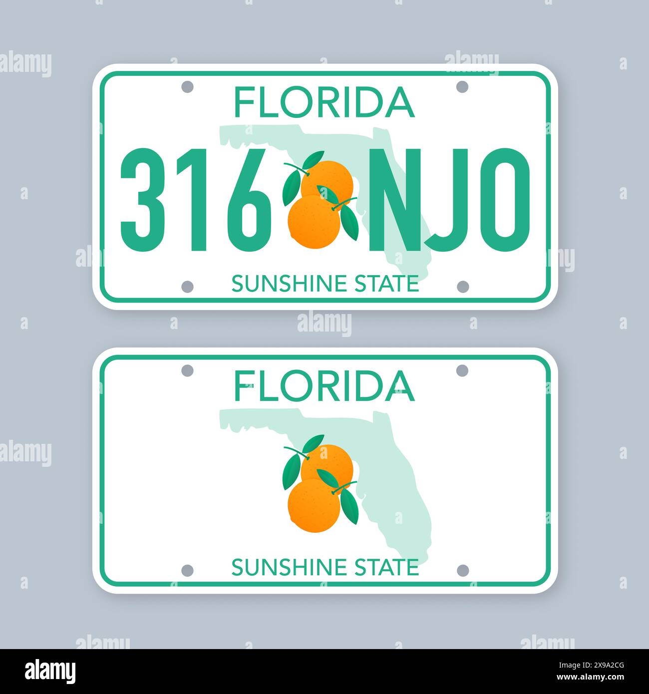 Kennzeichen von Florida. Autokennzeichen. Abbildung des Vektormaterials Stock Vektor