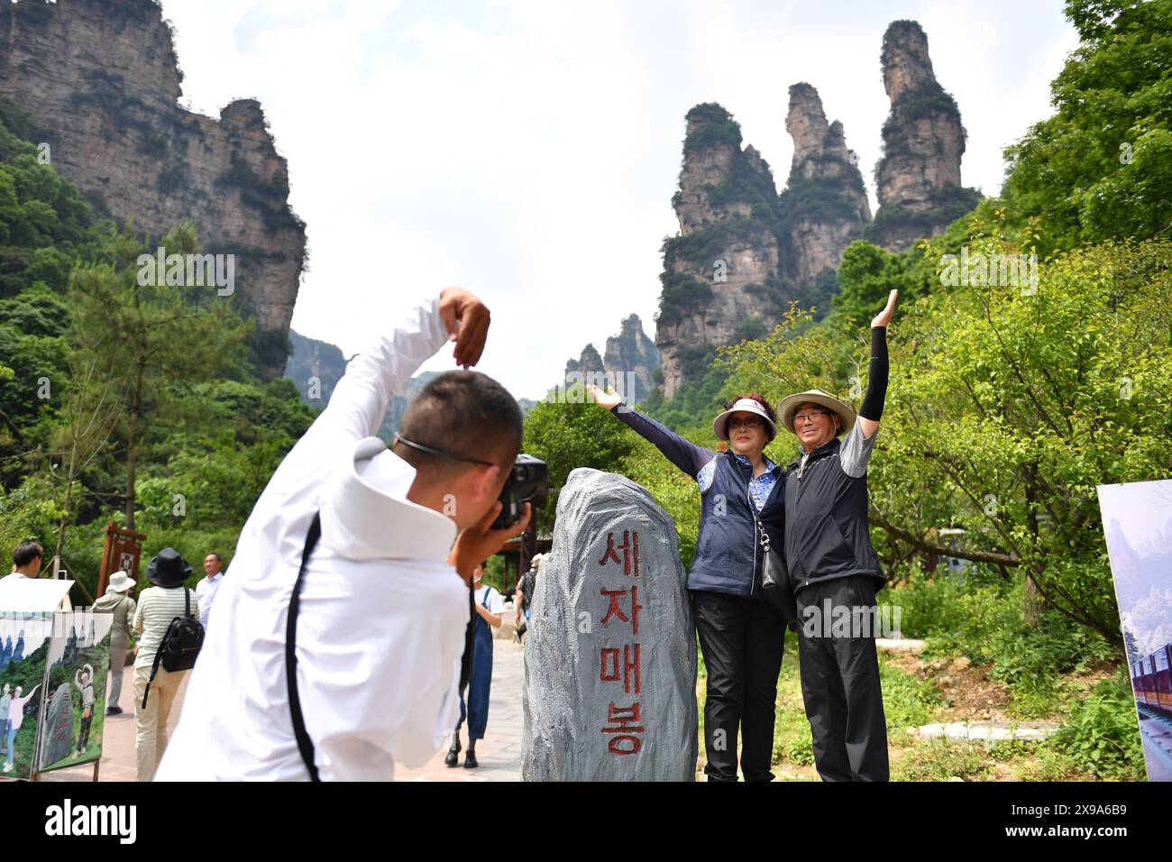 (240530) -- ZHANGJIAJIE, 30. Mai 2024 (Xinhua) -- südkoreanische Touristen posieren für Fotos im Zhangjiajie National Forest Park in Zhangjiajie, zentralchinesischer Provinz Hunan, 22. Mai 2024. Im ersten Quartal 2024 verzeichnete Zhangjiajie 105.100 südkoreanische Touristenreisen, was einem Anstieg von 27,07 Prozent gegenüber dem gleichen Zeitraum im Jahr 2019 entspricht. Auf Zhangjiajie entfallen 40,23 Prozent der Gesamtzahl der Touristen, die nach Zhangjiajie einreisen. Derzeit gibt es Direktflüge von fünf Städten in Südkorea nach Zhangjiajie, darunter Seoul und Busan, mit insgesamt 52 Flügen pro Woche. (Xinhua/Chen Zhenhai) Stockfoto