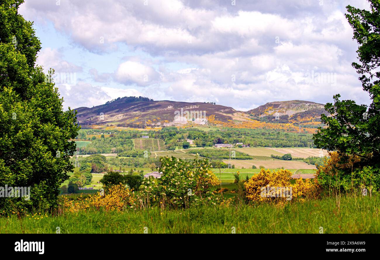 Dundee, Tayside, Schottland, Großbritannien. 30. Mai 2024. Das Wetter in Großbritannien: Das Strathmore Valley und die Sidlaw Hills in Dundee, Schottland, erleben eine lückenhafte Wolkendecke, Sonnenschein und stürmische Winde. Quelle: Dundee Photographics/Alamy Live News Stockfoto