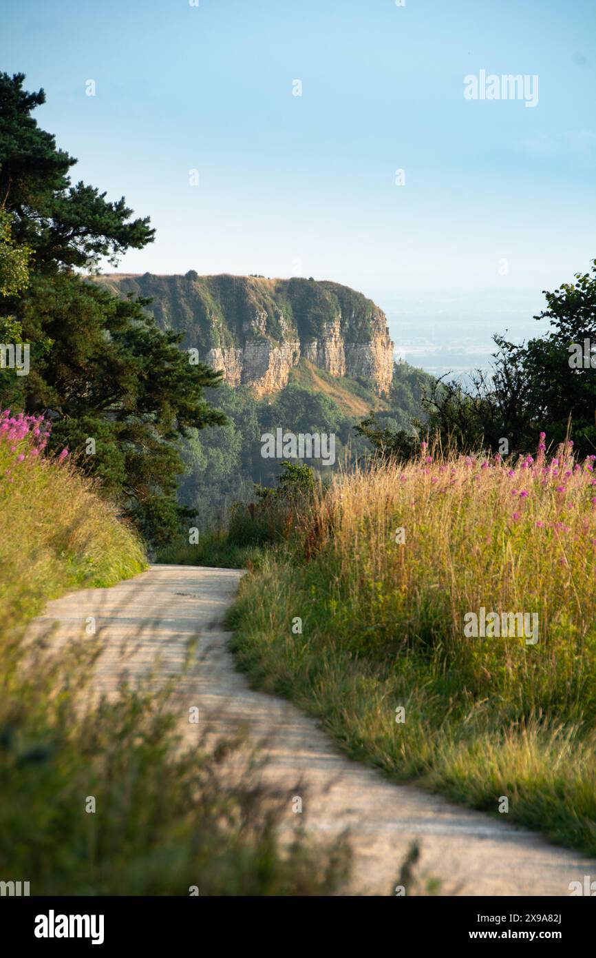 Sutton Bank Fußweg zur Roulston Scar Stockfoto