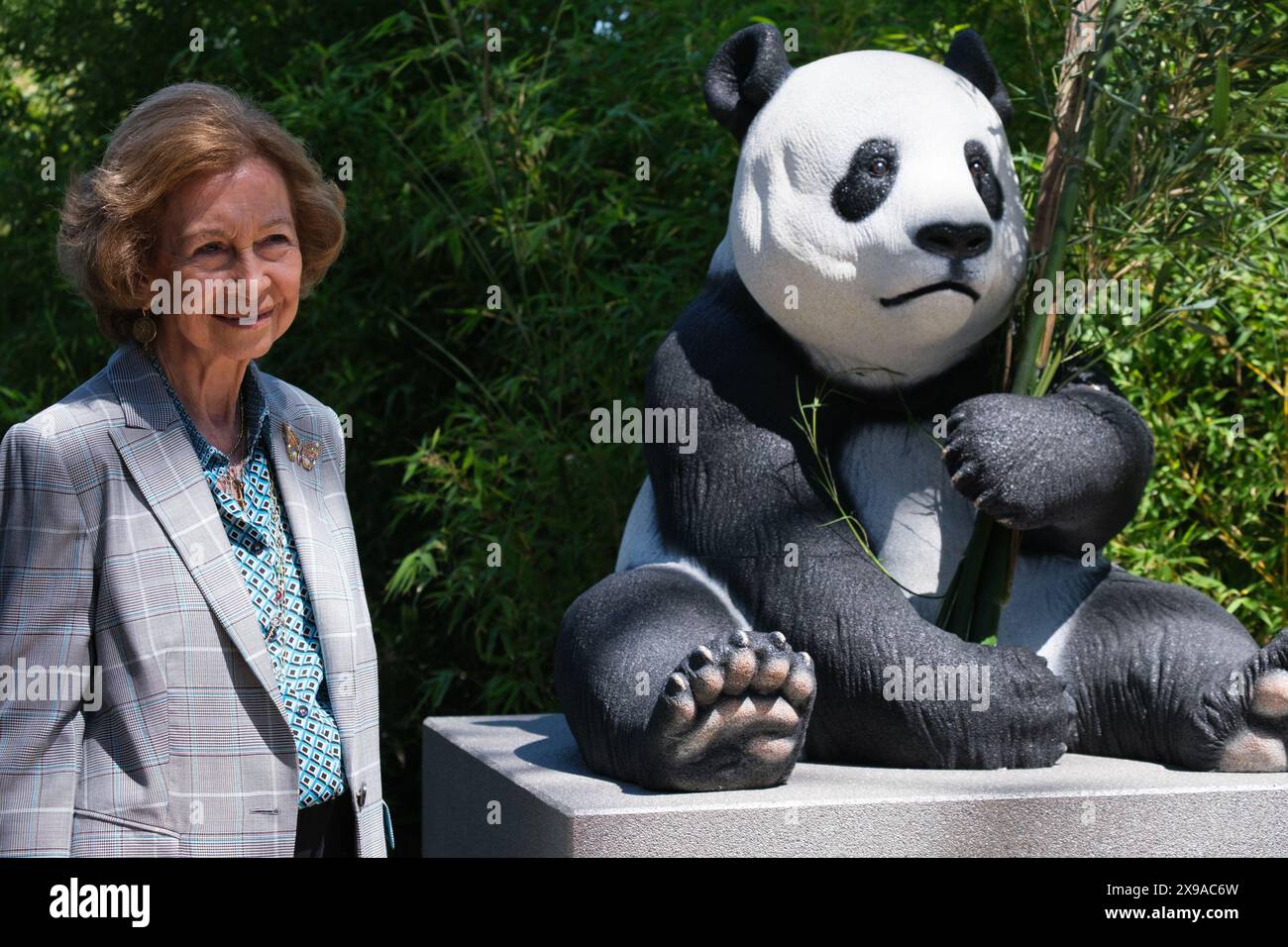 Königin Sofia von Spanien führt am 30. Mai 2024 die Verleihung der beiden neuen Pandas des Madrider Zoos in Madrid, Spanien. Stockfoto