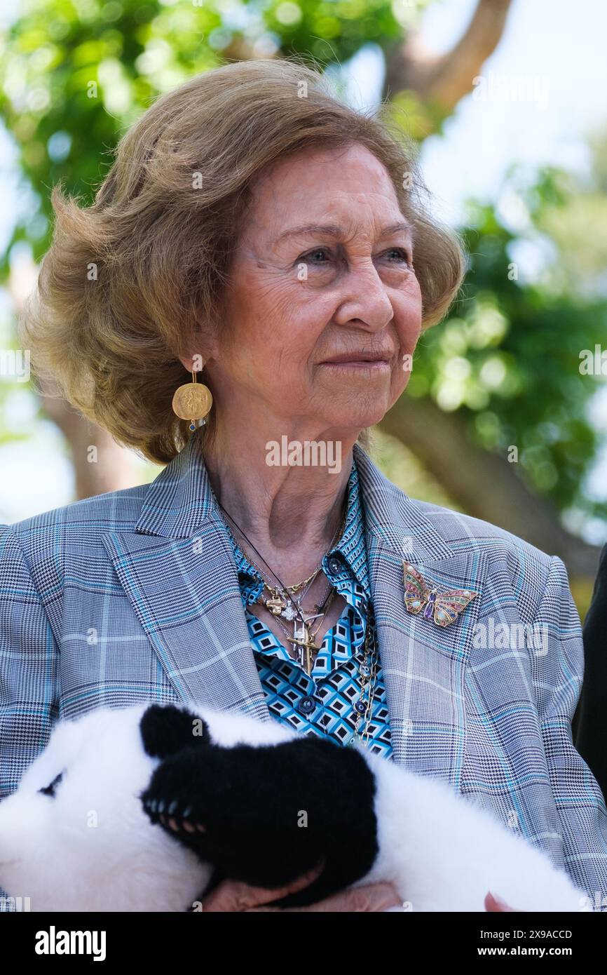 Königin Sofia von Spanien führt am 30. Mai 2024 die Verleihung der beiden neuen Pandas des Madrider Zoos in Madrid, Spanien. Stockfoto