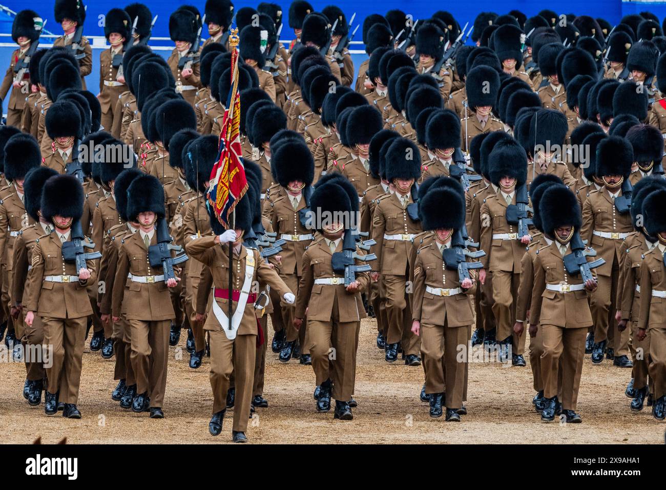 London, Großbritannien. 30. Mai 2024. Die Farben werden abgestürzt - die Überprüfung der Household Division durch den Brigade Major (Lieutenant Colonel James Shaw), um zu überprüfen, ob die Truppen auf dem erforderlichen Standard sind, bevor sie bei den öffentlichen Kritiken auftreten, die mit Trooping the Colour am 15. Juni gipfelten. Nummer 9 Kompanie, die irische Garde truppieren ihre Farben. Guy Bell/Alamy Live News Stockfoto