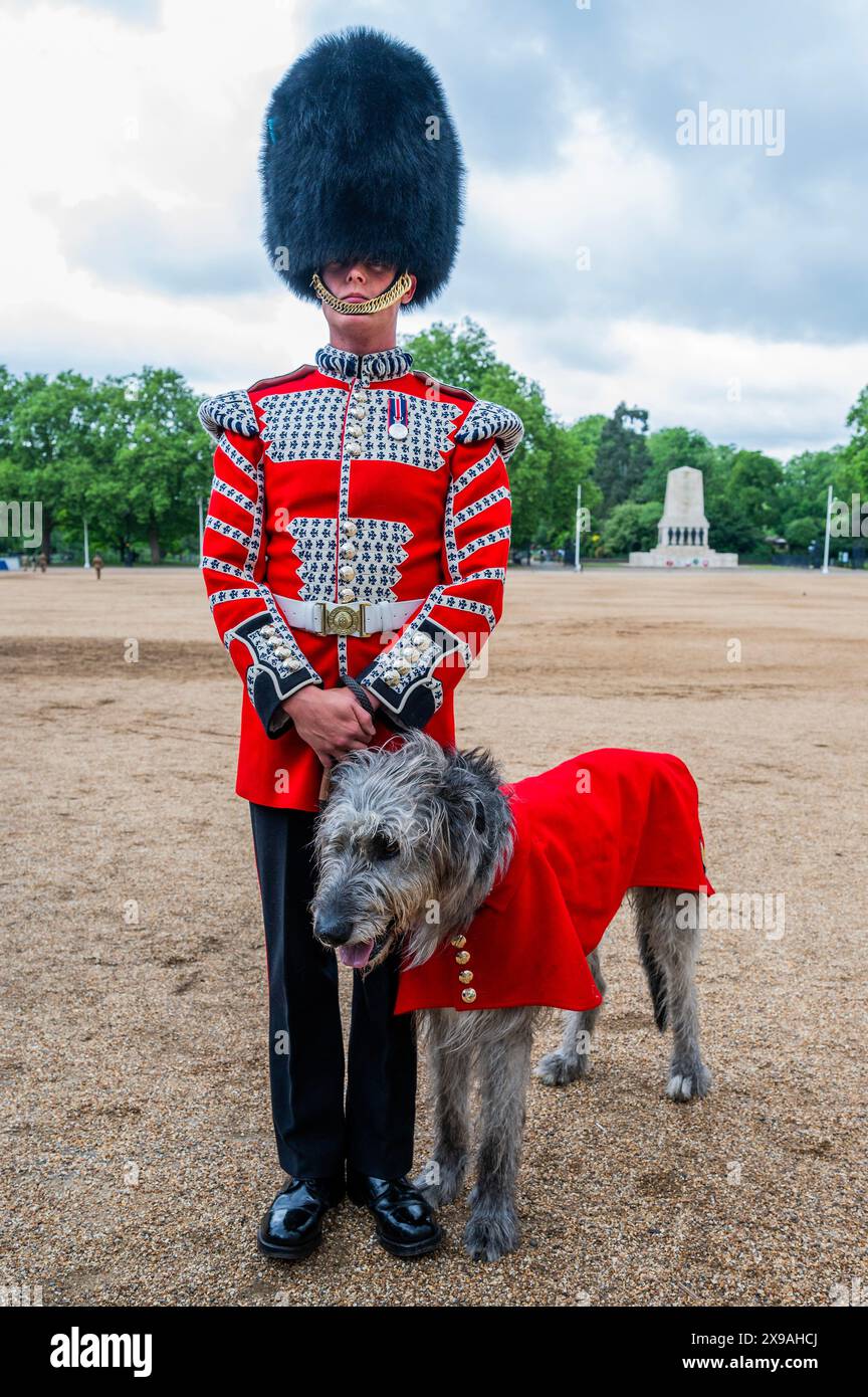 London, Großbritannien. 30. Mai 2024. Irish Guards Regimental Mascot, der Irish Wolfhound Turlough Mor (Seamus) mit seinem Führer - The Brigade Major's Review of the Household Division, um zu überprüfen, ob die Truppen auf dem erforderlichen Standard sind, bevor sie bei den öffentlichen Bewertungen auftreten, die mit Trooping the Colour am 15. Juni gipfelten. Nummer 9 Kompanie truppiert ihre Farben. Guy Bell/Alamy Live News Stockfoto