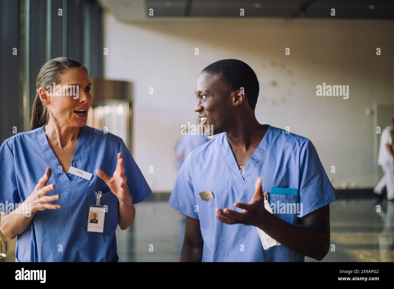 Männliche und weibliche Ärztinnen in blauen Schutten diskutieren während des Spazierens im Krankenhaus Stockfoto