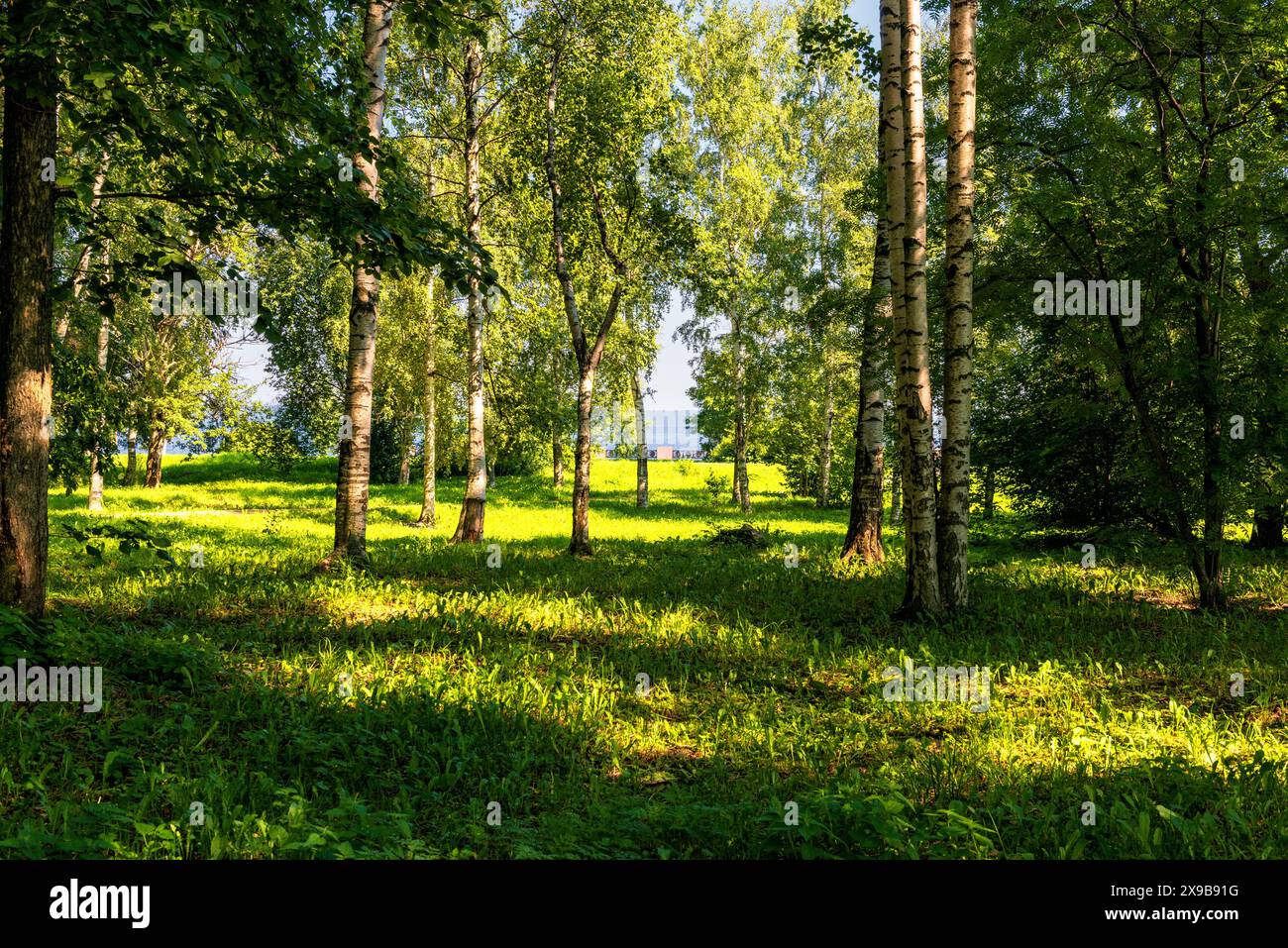 Park in Petrosawodsk am Ufer des Onegasees Stockfoto