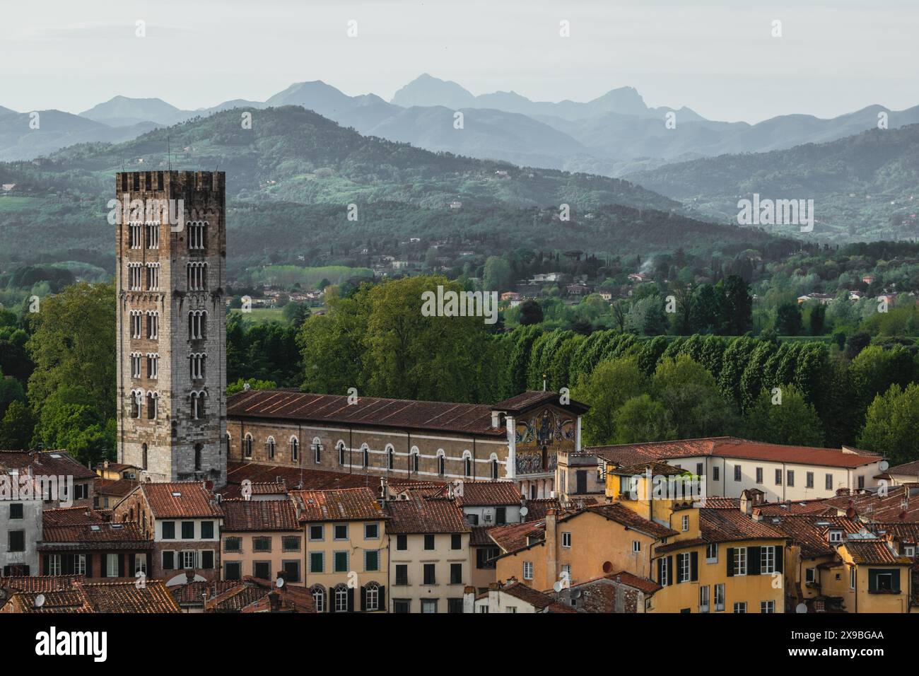 Die Dächer und Türme der historischen mittelalterlichen Stadt Lucca in der Toskana, Italien an einem sonnigen Tag, vom Guinigi-Turm über den Straßen. Stockfoto