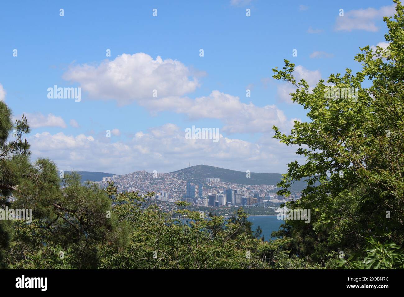 Der asiatische Teil Istanbuls liegt weit entfernt auf dem Festland. Blick auf die Landschaft durch grüne Äste. Reisen Sie im Sommer in die Türkei Stockfoto