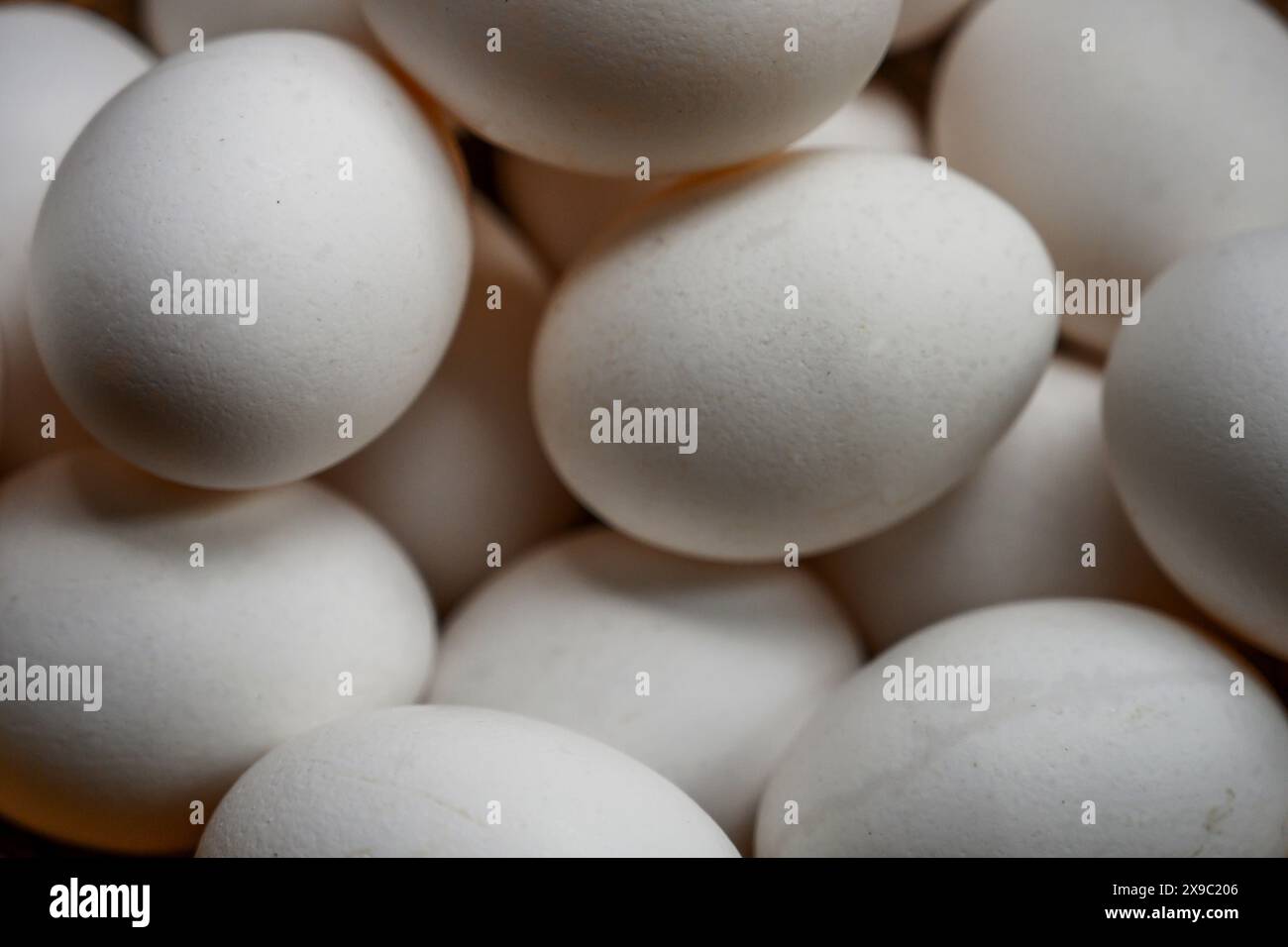 Gruppe von weißen Hühnereiern, die den gesamten Rahmen einnehmen Stockfoto