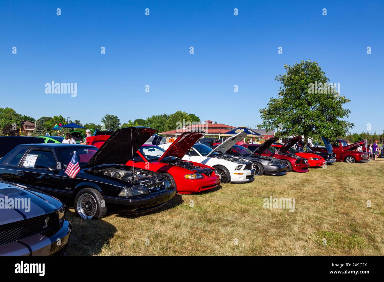 Eine Reihe von Ford Mustangs öffnen ihre Hauben für eine Autoshow im Riverside Gardens Park in Leo-Cedarville, Indiana, USA. Stockfoto