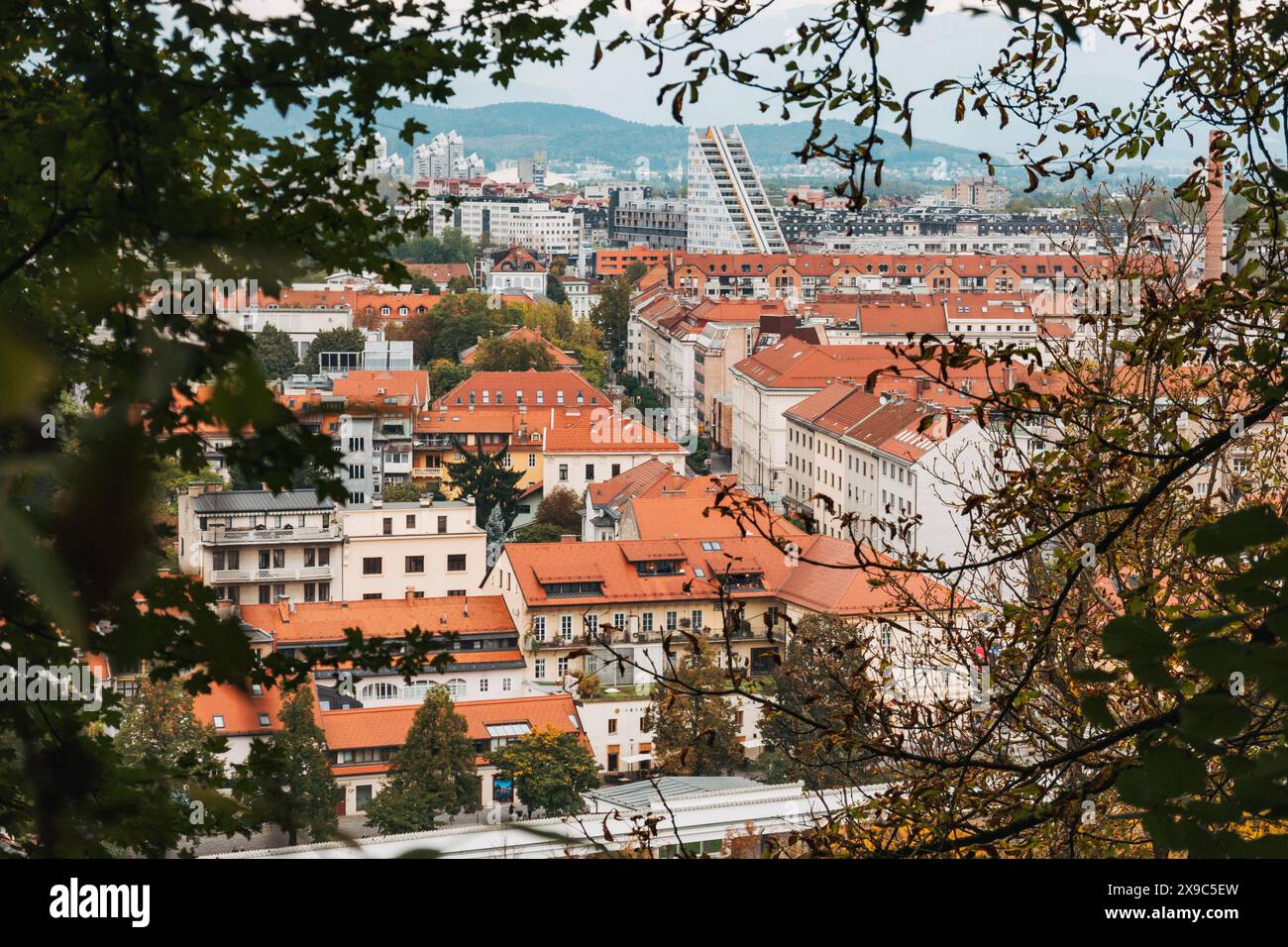 Schauen Sie durch eine Lücke die Bäume auf die rot gekachelten Dächer und weißen Fassaden von Ljubljana, der Hauptstadt Sloweniens Stockfoto