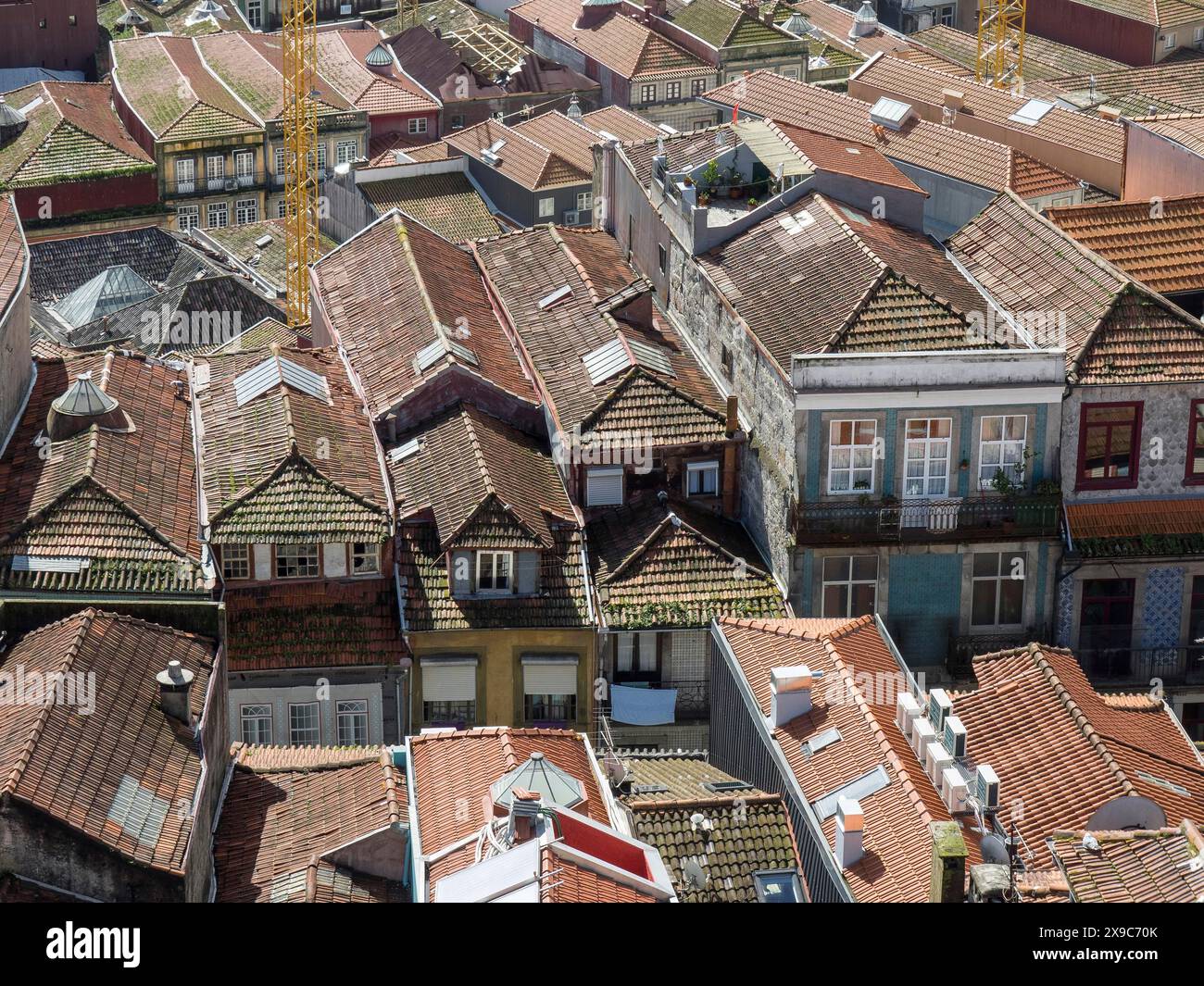 Dicht gepackte Häuser mit roten Ziegeldächern und Fenstern, die das Stadtpanorama prägen, Altstadt mit historischen Häusern und roten Dächern in Poertugal Stockfoto