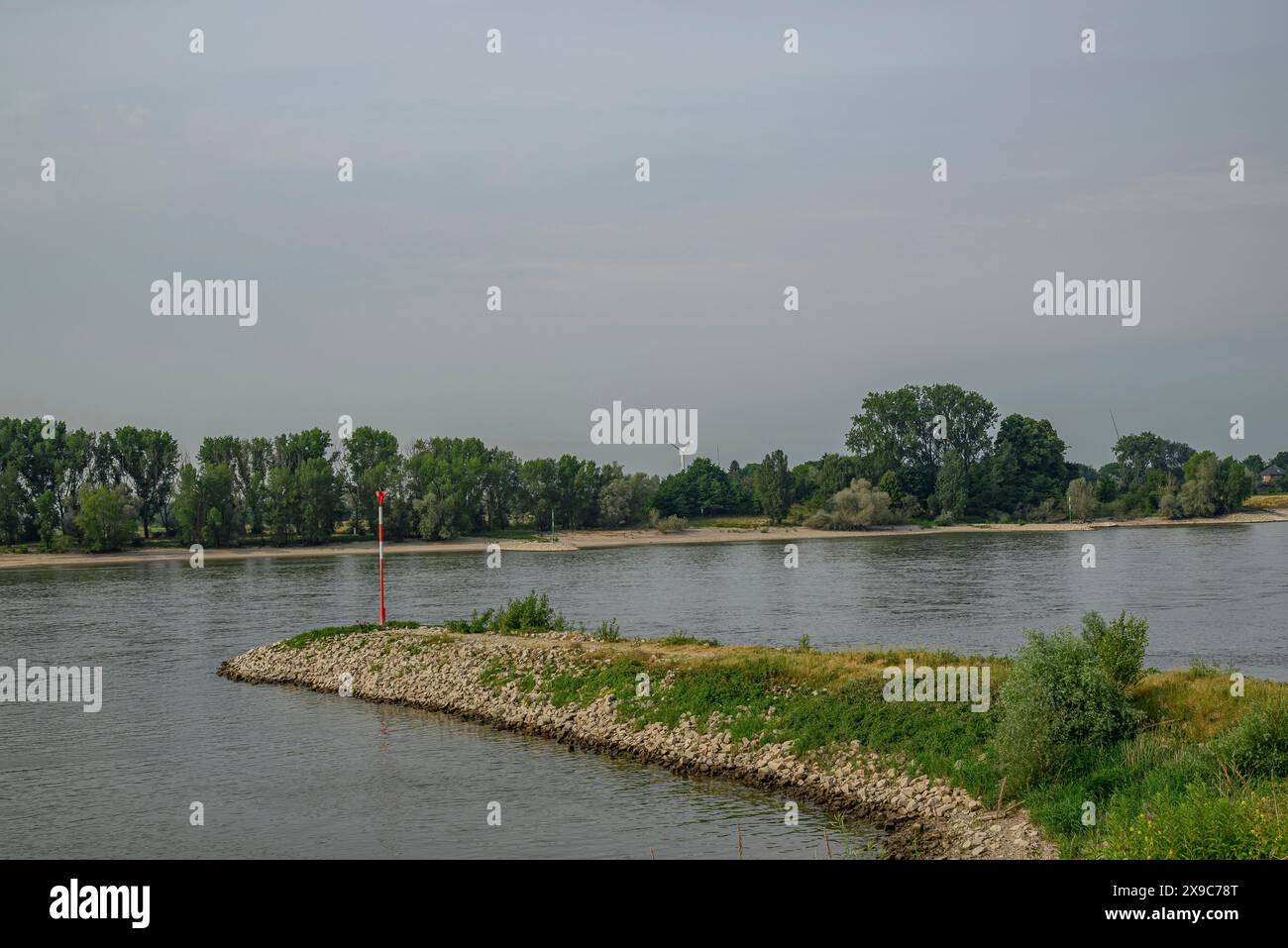 Fluss mit einem kleinen, vegetationsreichen Ufer, gesäumt von Bäumen, bewölkter Himmel, ruhige Atmosphäre, die Promenade von Rees am Rhein mit grünen Bäumen Stockfoto