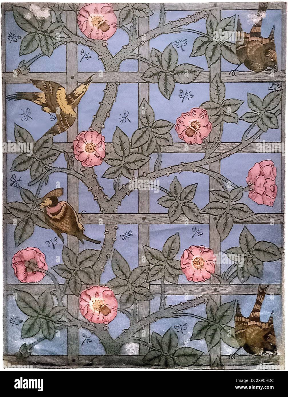 Trellis (1862–1864) von William Morris (1834–1896), Holzschnitt mit Temperafarben auf Papier, Victoria and Albert Museum, London (UK). Stockfoto