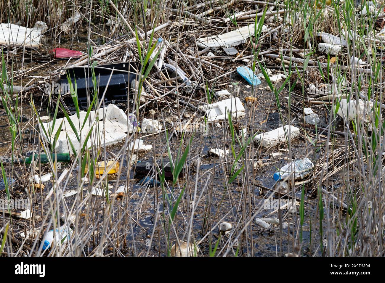 Angespülter Müll in Albanien, Mittelmeer, Verschmutzung, Meeresverschmutzung, Plastikmüll, Abfall, Müll, Müll, Müll, Kunststoffabfälle, Meerespollu Stockfoto