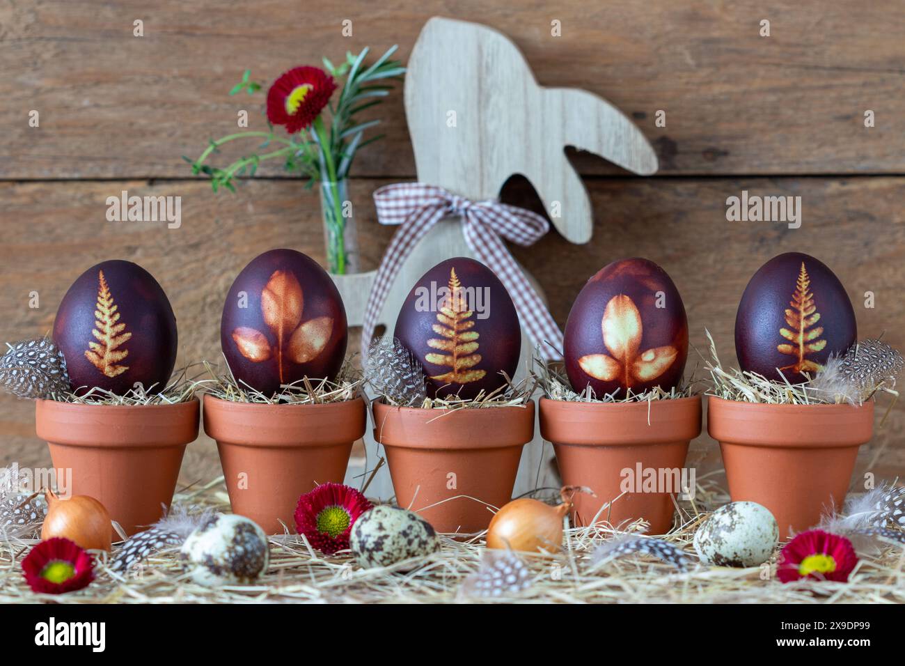 ostereier mit Blattverzierung und mit Zwiebelhaut in Terrakotta-Töpfen gefärbt Stockfoto