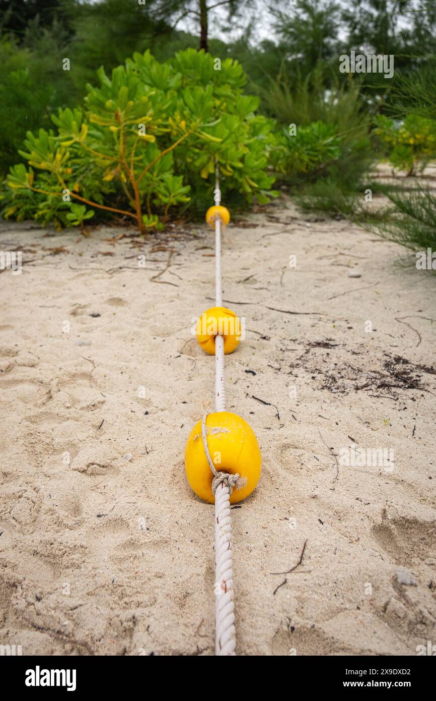 Ein Seil mit drei gelben Bojen sitzt auf dem Sand. Stockfoto