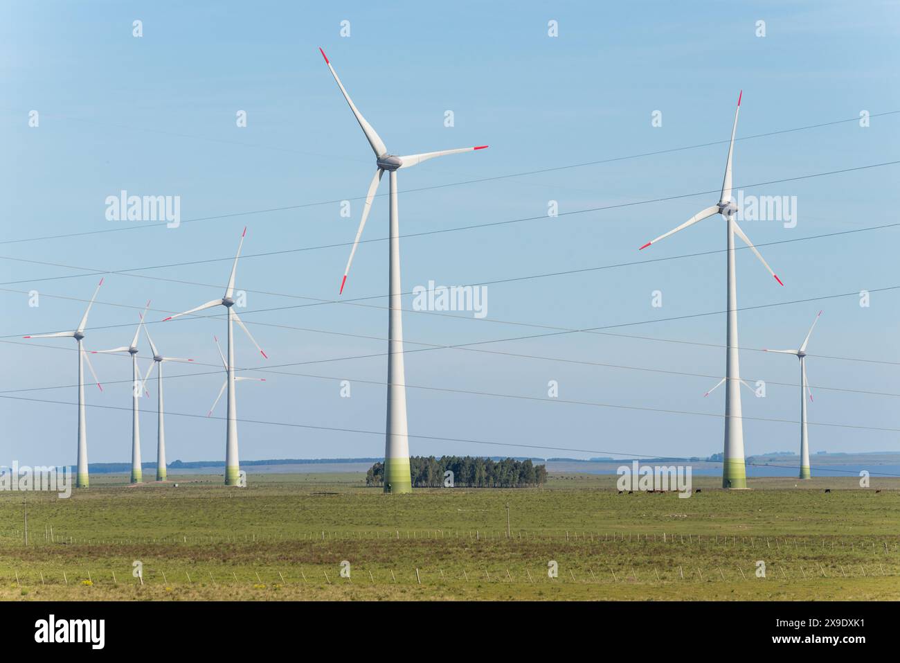 Ein Feld von Windrädern mit einem klaren blauen Himmel im Hintergrund Stockfoto
