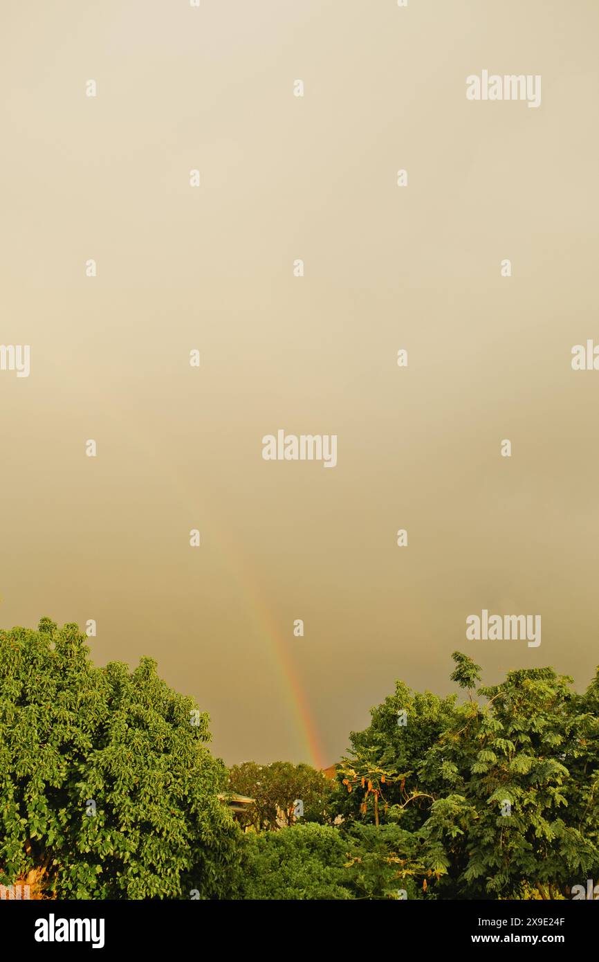 Tropischer Regenbogen in stimmungsvollem, warmem Himmel auf Hawaii Stockfoto
