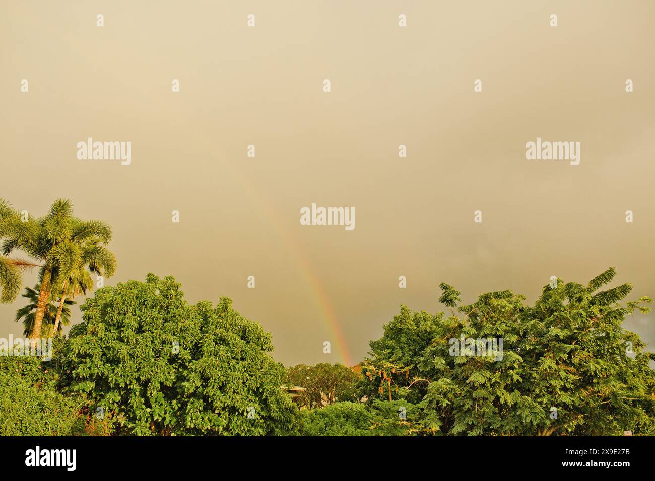 Tropischer Regenbogen in stimmungsvollem, warmem Himmel auf Hawaii Stockfoto