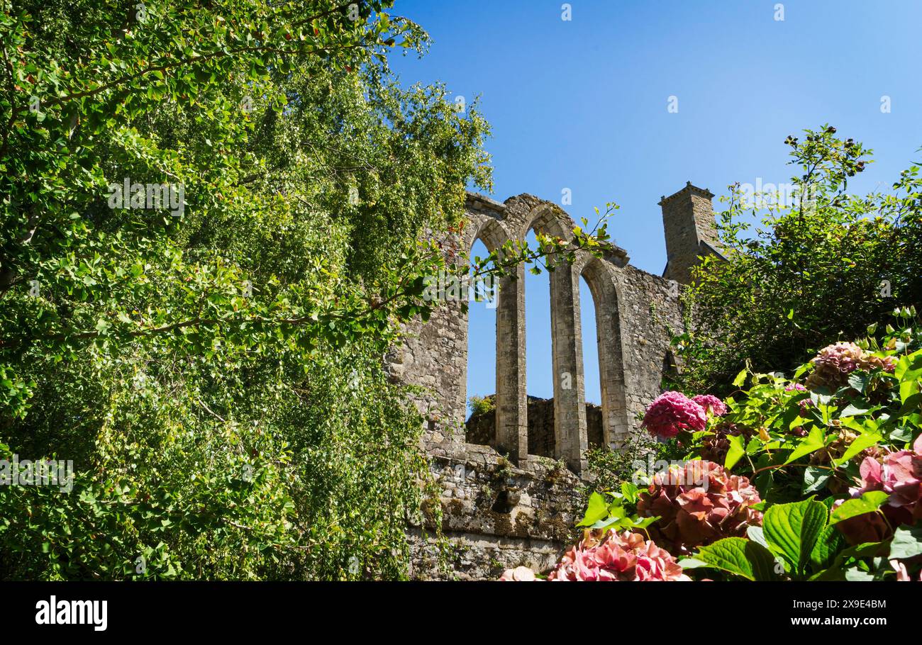 Teilblick auf die Ruinen der Abtei Beauport in der französischen Gemeinde Paimpol mit blauem Himmel und sonnigem Tag. Stockfoto Teilblick auf die Ruinen der Abtei Beauport in der französischen Gemeinde Paimpol mit blauem Himmel und sonnigem Tag. Stockfoto