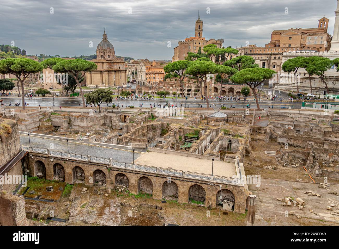 Pinienholz entlang der Via dei Fori Imperiali und dem Forum Romanum, vom Trajans Markt, Rom, Italien Stockfoto