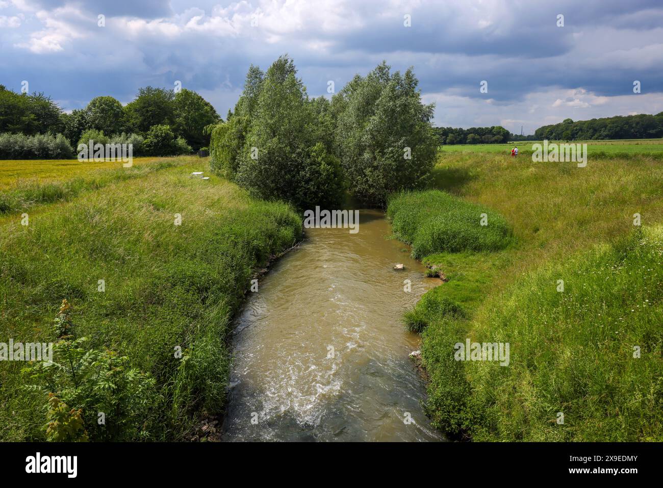 Kamen, Ruhrgebiet, Nordrhein-Westfalen, Deutschland - Frühlingslandschaft an der Seseke. Die renaturierte Seseke, ein Nebenfluss der Lippe, wurde transformiert Stockfoto