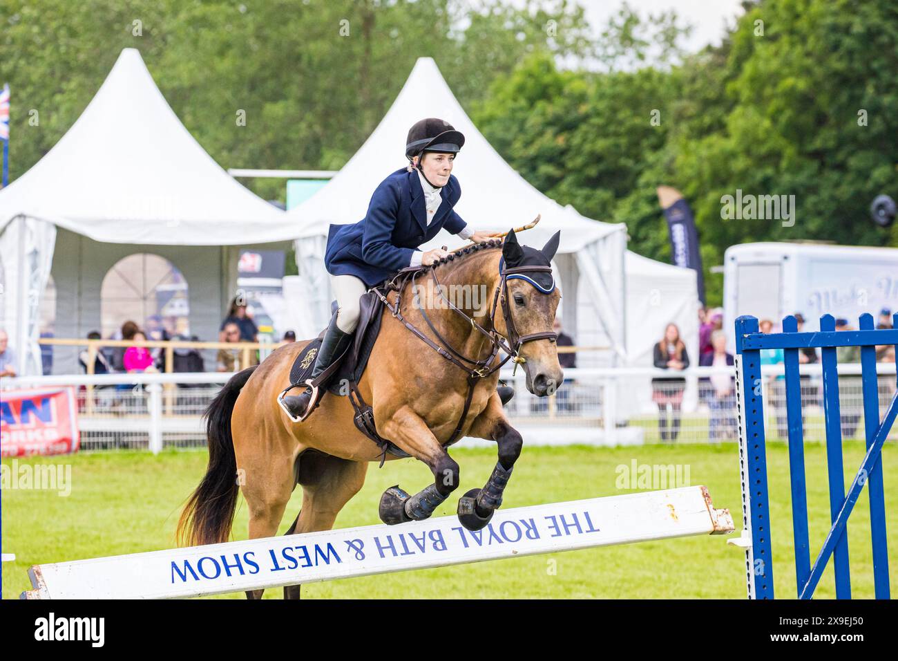 SHEPTON MALLET, SOMERSET, UK, 31. Mai 2024 Action vom Mounted Team Relay Show Jumping Event bei der Royal Bath and West Show. John Rose/Alamy Live News Stockfoto