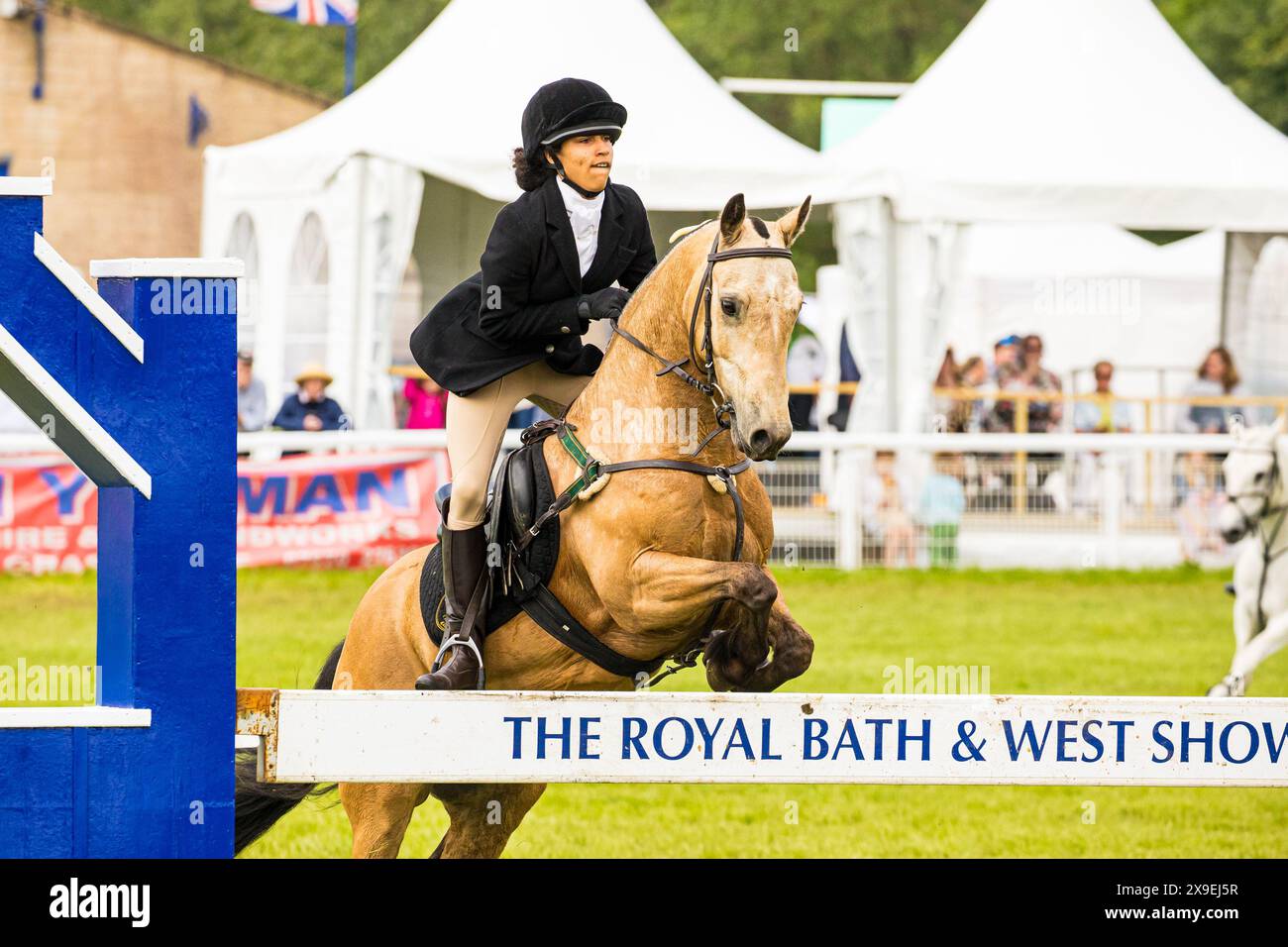 SHEPTON MALLET, SOMERSET, UK, 31. Mai 2024 Action vom Mounted Team Relay Show Jumping Event bei der Royal Bath and West Show. John Rose/Alamy Live News Stockfoto