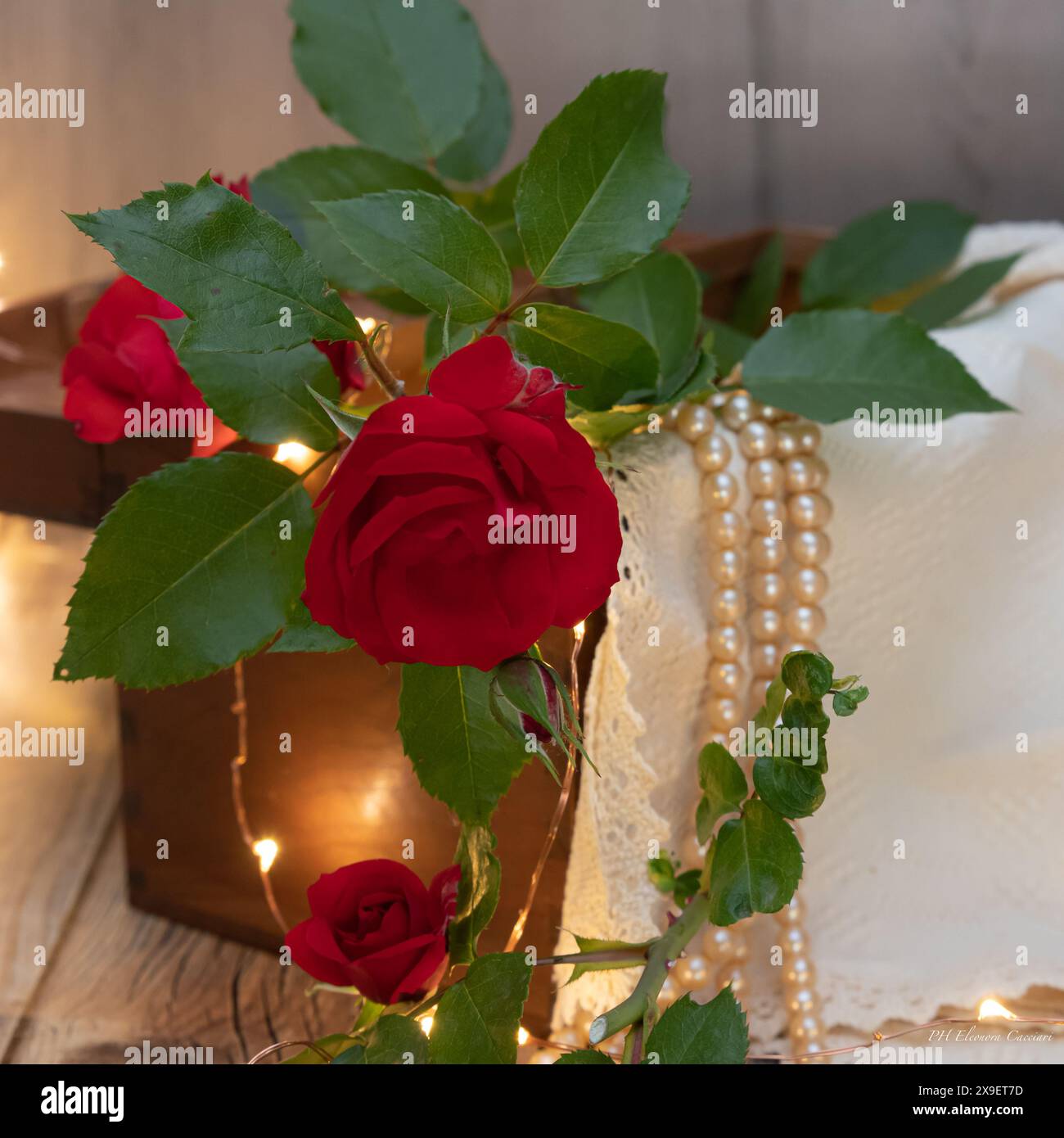 Elegante Stillleben mit einer roten Rose und feiner Halskette auf einer vintage Glasbox Stockfoto