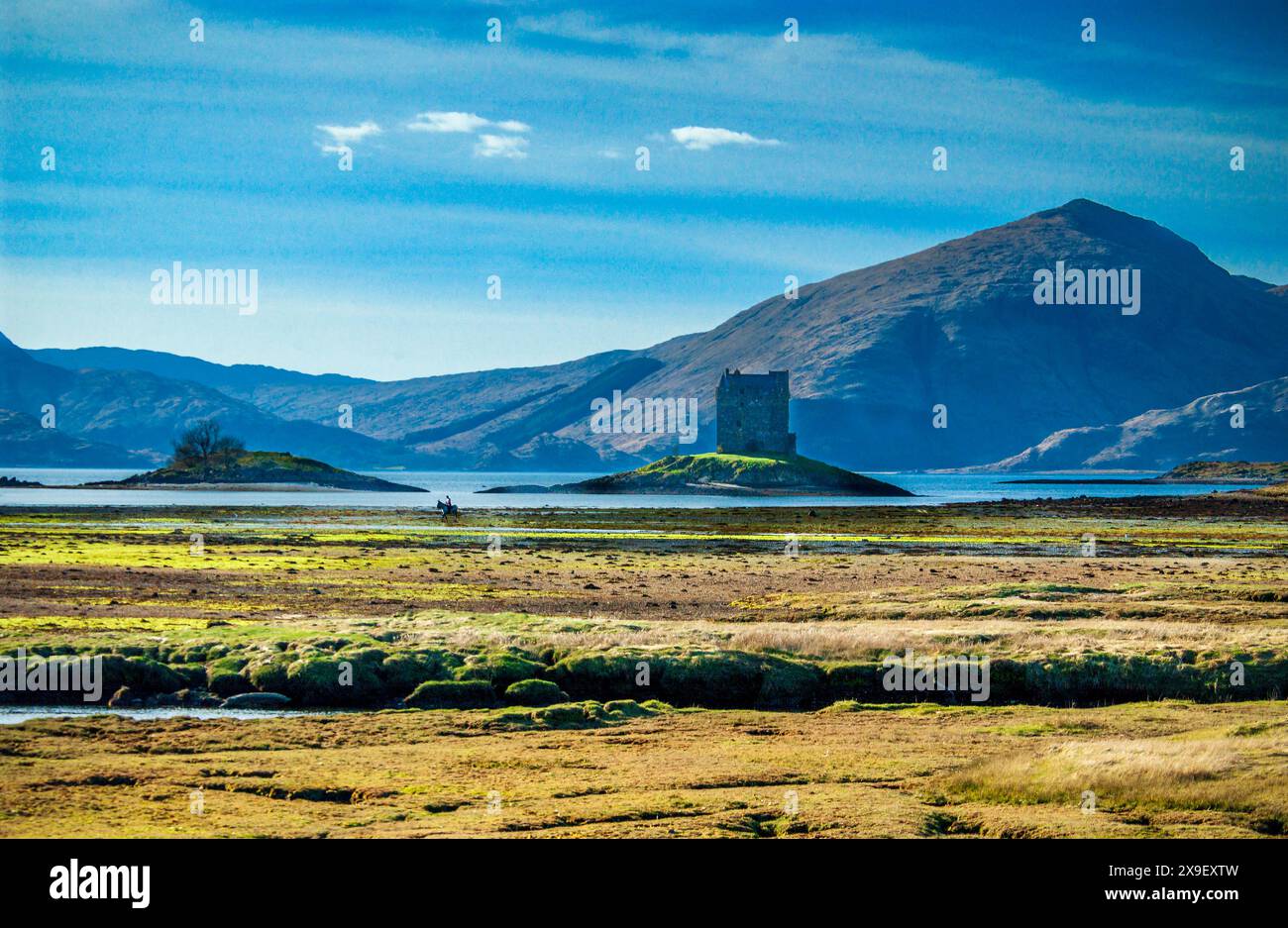 Castle Stalker mit Blick über Loch Linnhie nach Beinn na Cille auf der Halbinsel Morvern, Argyll Schottland. Stockfoto