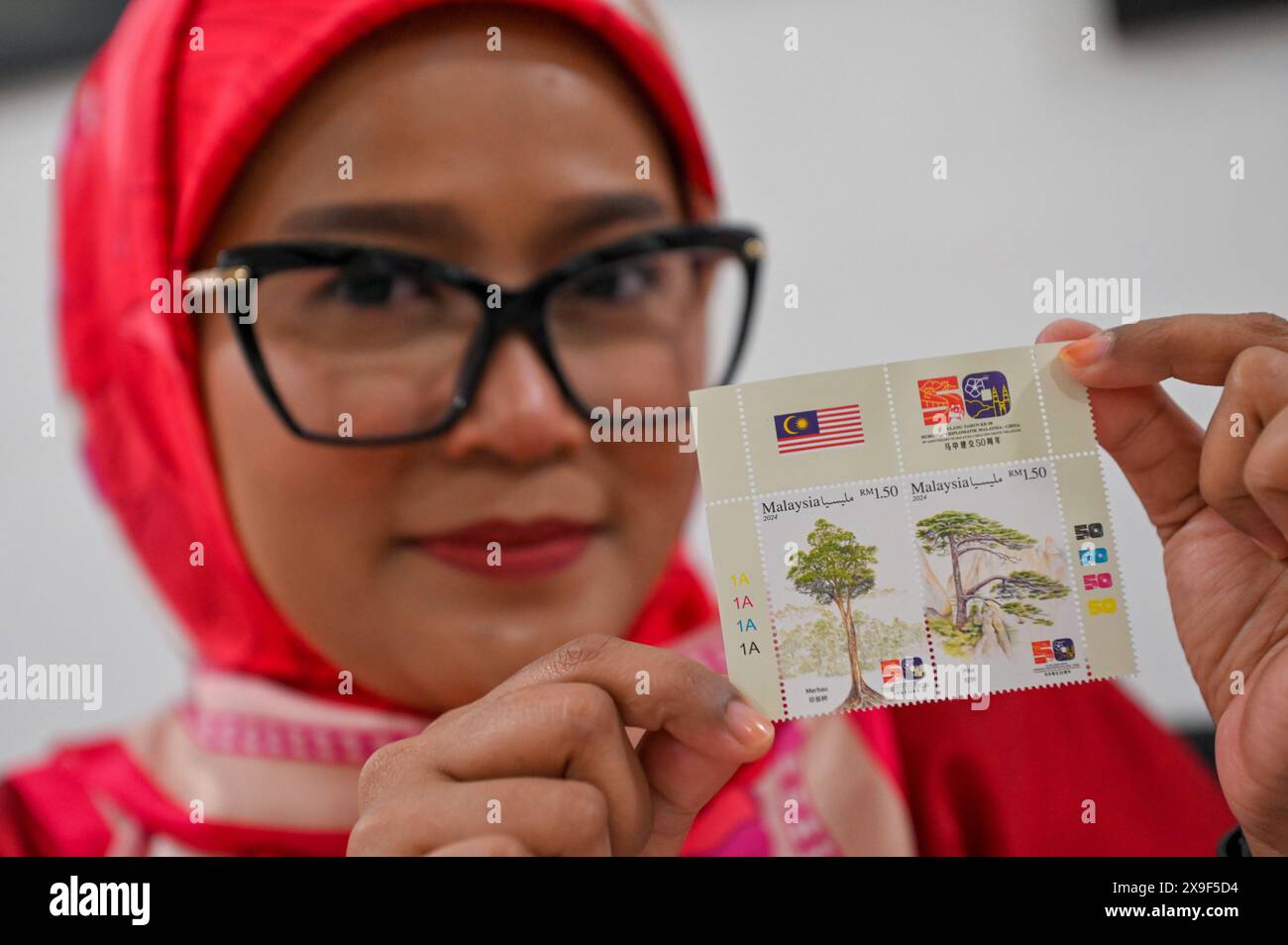 (240531) -- KUALA LUMPUR, 31. Mai 2024 (Xinhua) -- Eine Person zeigt Briefmarken zum 50. Jahrestag der Aufnahme diplomatischer Beziehungen zwischen Malaysia und China in Kuala Lumpur, Malaysia, 31. Mai 2024. POS Malaysia, der nationale Kurierdienstleister und alleiniger Lizenznehmer für Universalpostdienste im Land, stellte am Donnerstag anlässlich des 50. Jahrestages der Aufnahme diplomatischer Beziehungen zwischen Malaysia und China eine Reihe gemeinsamer Sondermarken vor. Auf dem Gedenkstempel befinden sich ikonische Pflanzen aus beiden Ländern, nämlich der Merbau, Malaysias Nationalbaum Stockfoto